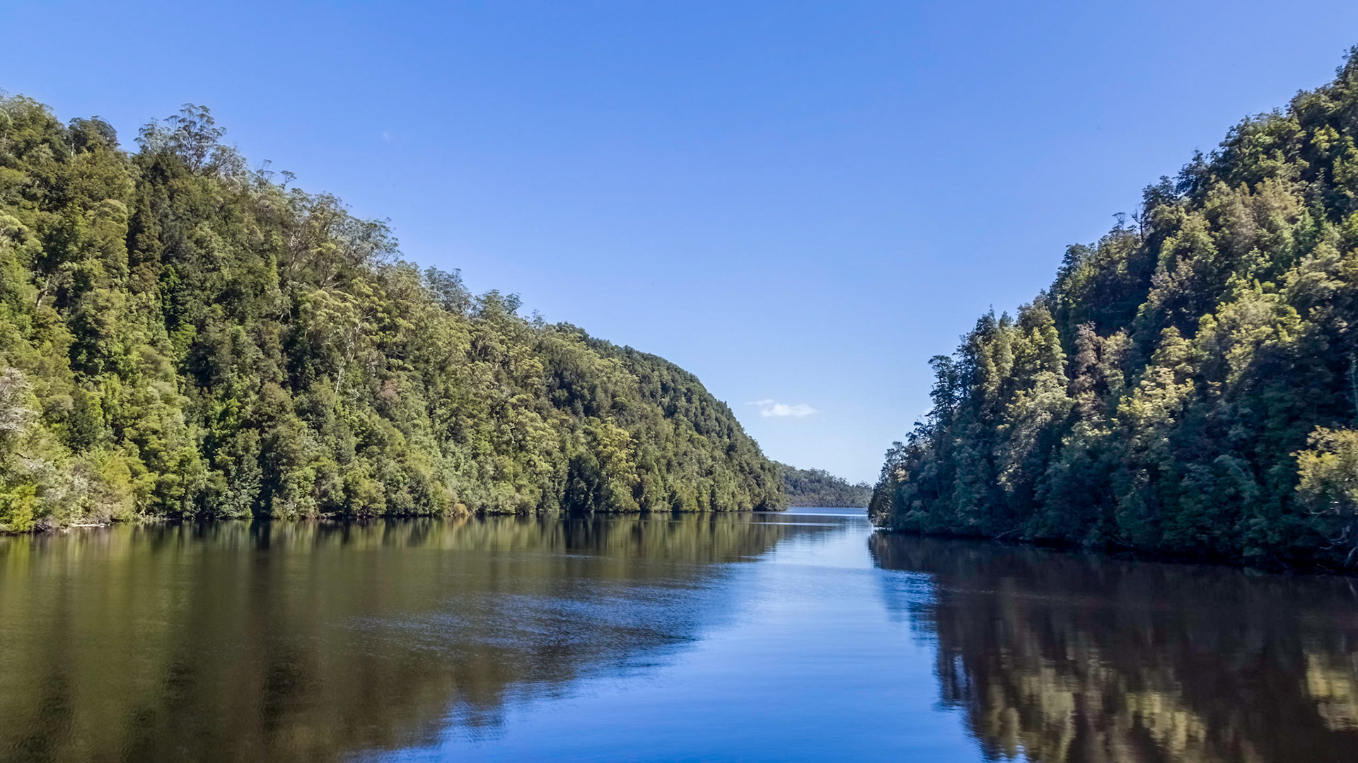 Along the Gordon River