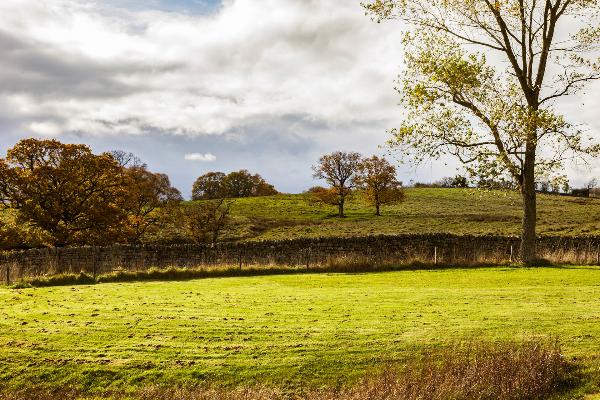 Vindolanda countryside