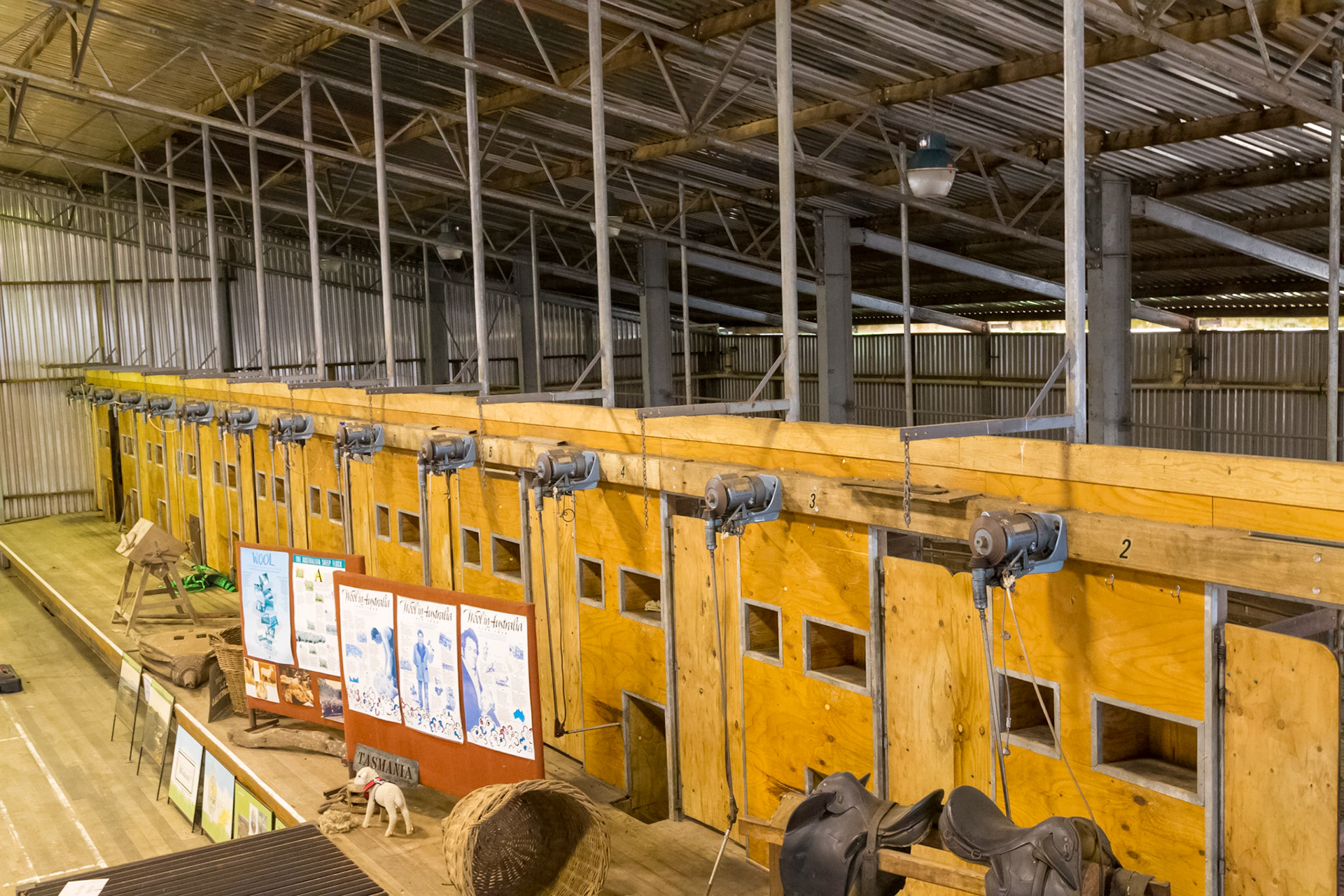 Woolnorth Shearing Stands. Shearing shed now unused.