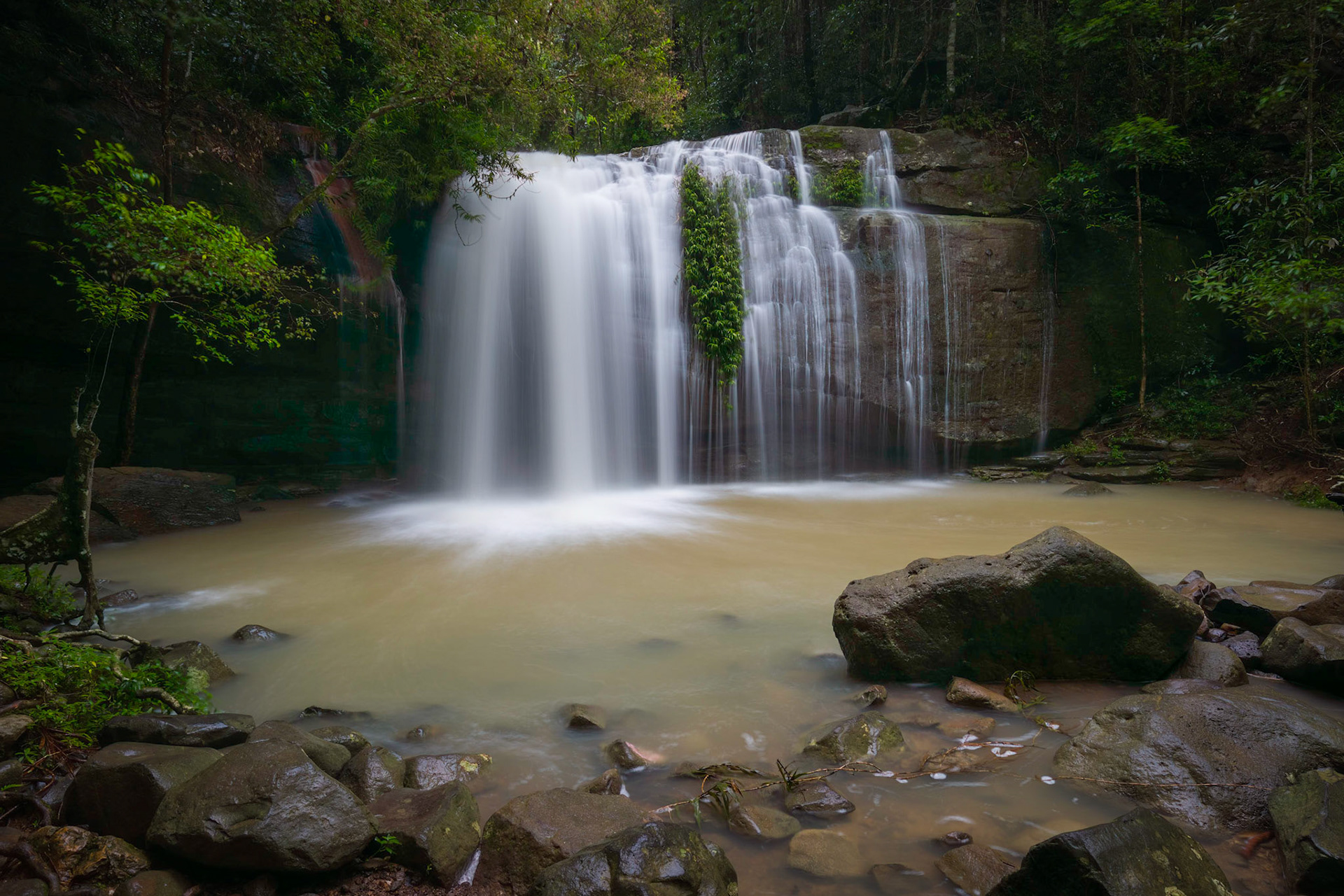 Buderim (Serenity) Falls