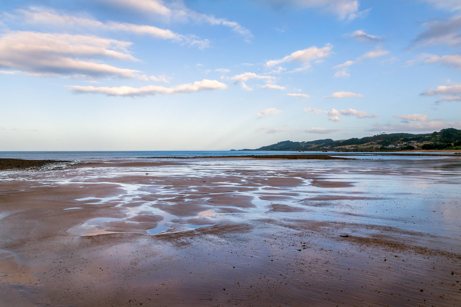 Penguin Beach - summer evening