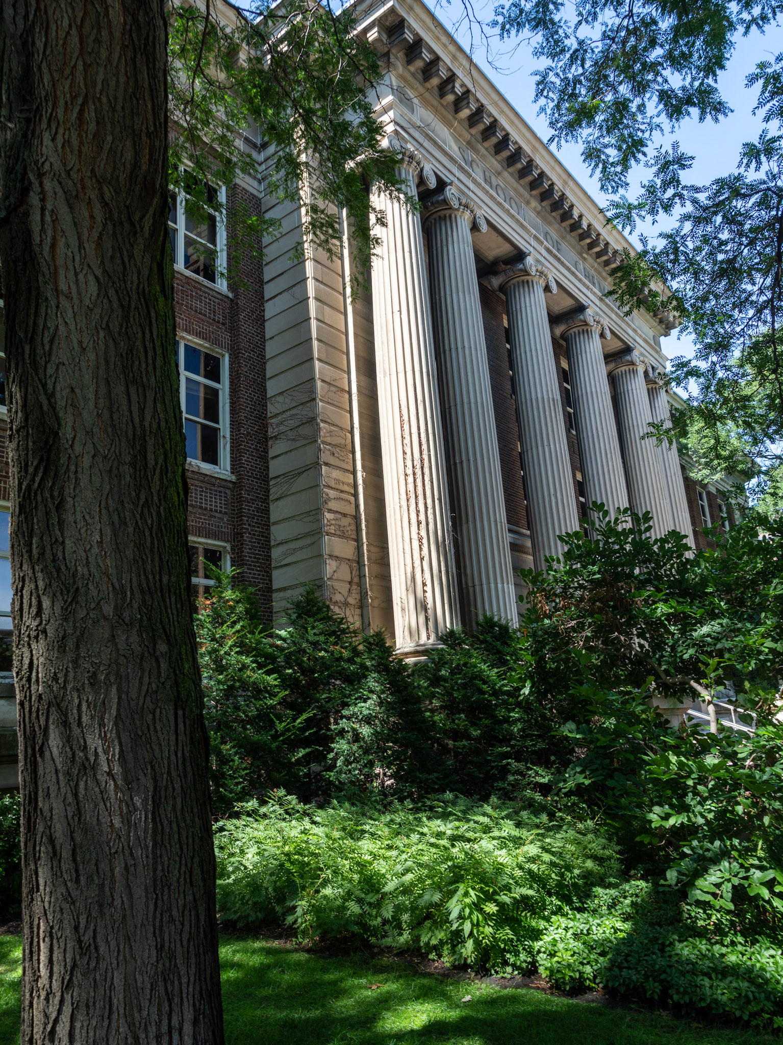 University of Minnesota