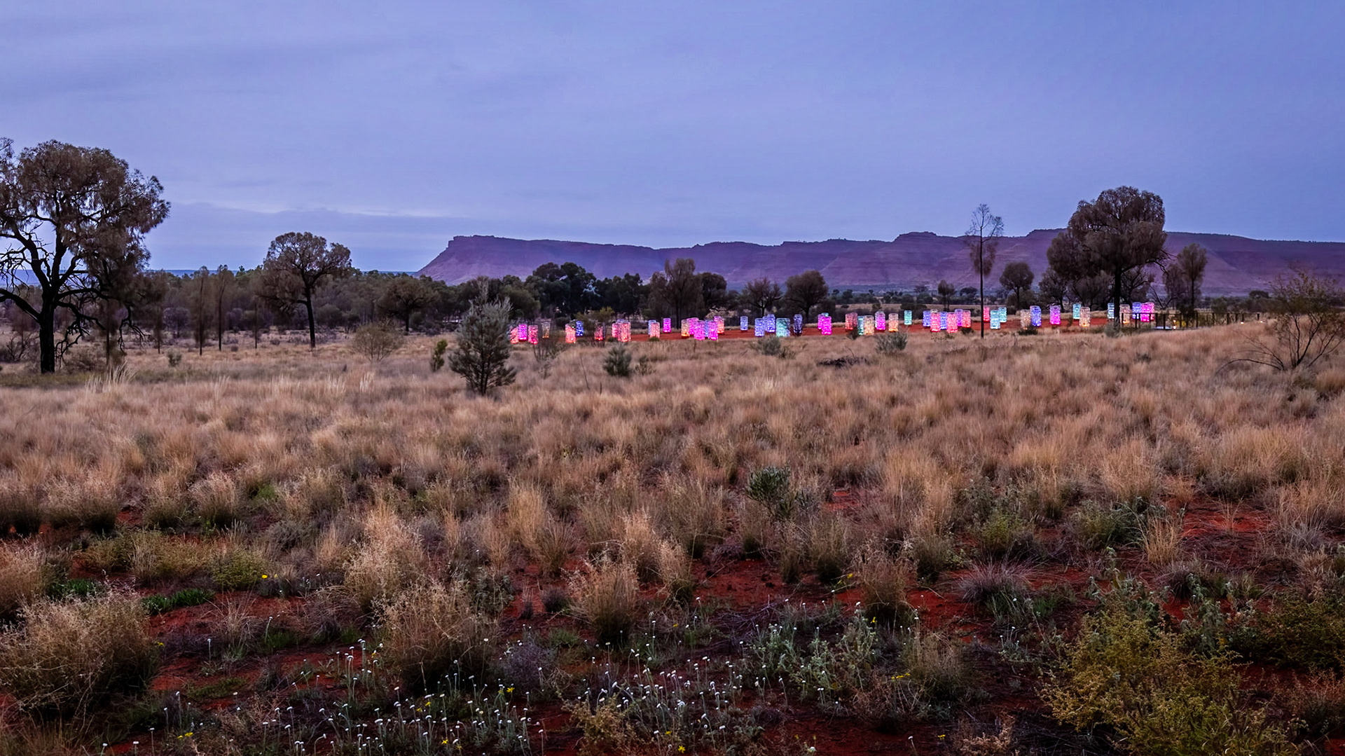 Light Towers installation (by Bruce Munro)