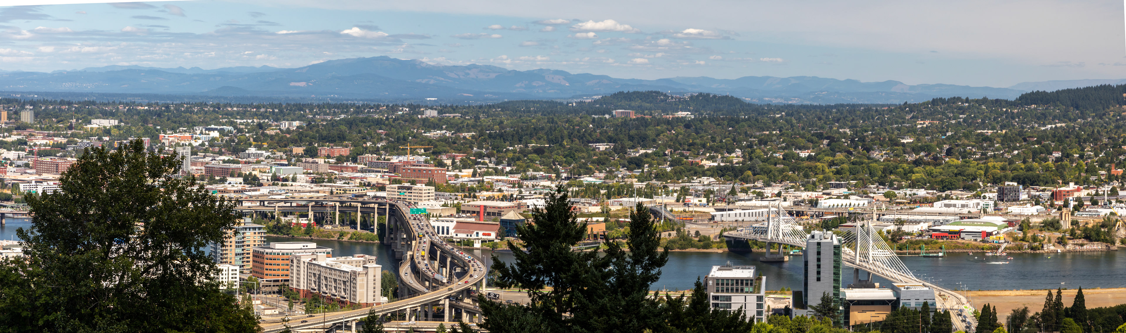 View from Marquam Hill across the Williamette River