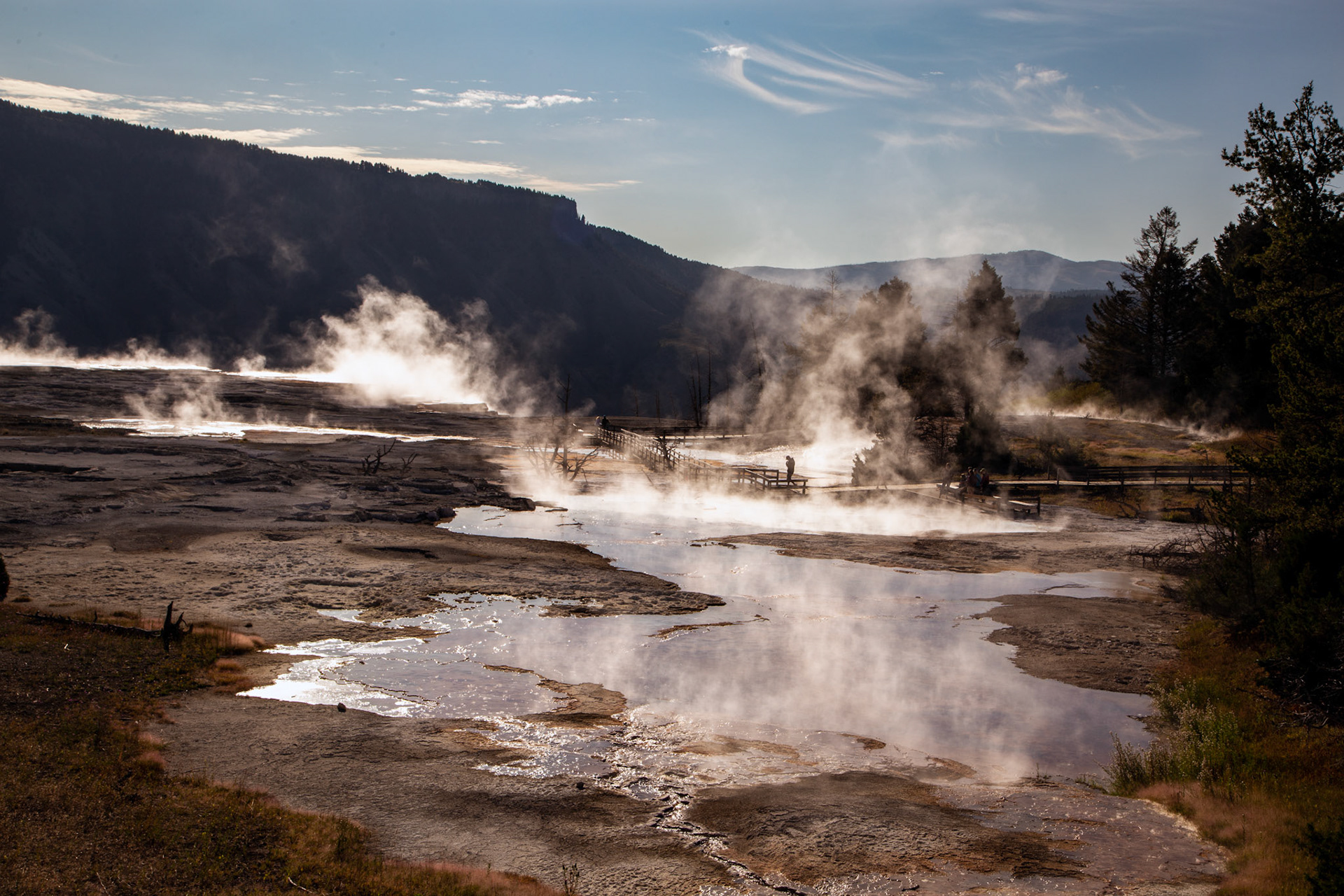 Lower Terraces, Mammoth Hot Springs