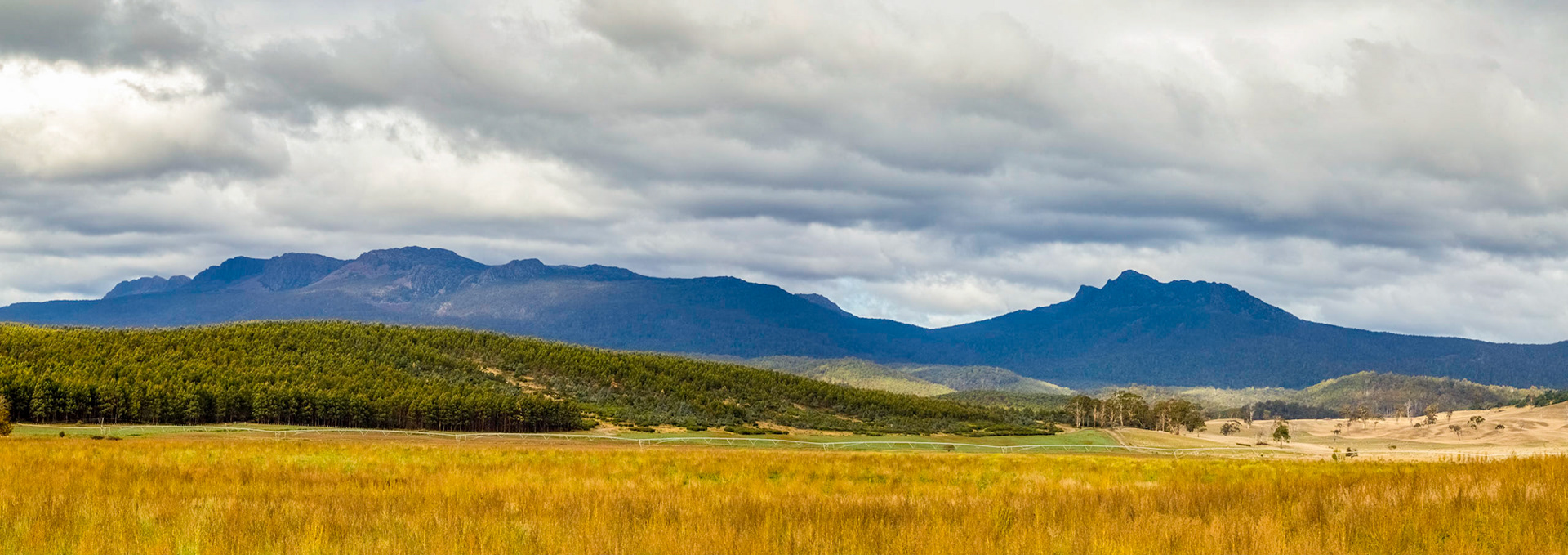 View to Ben Lomond National Park, from Blessington Road (C401)
