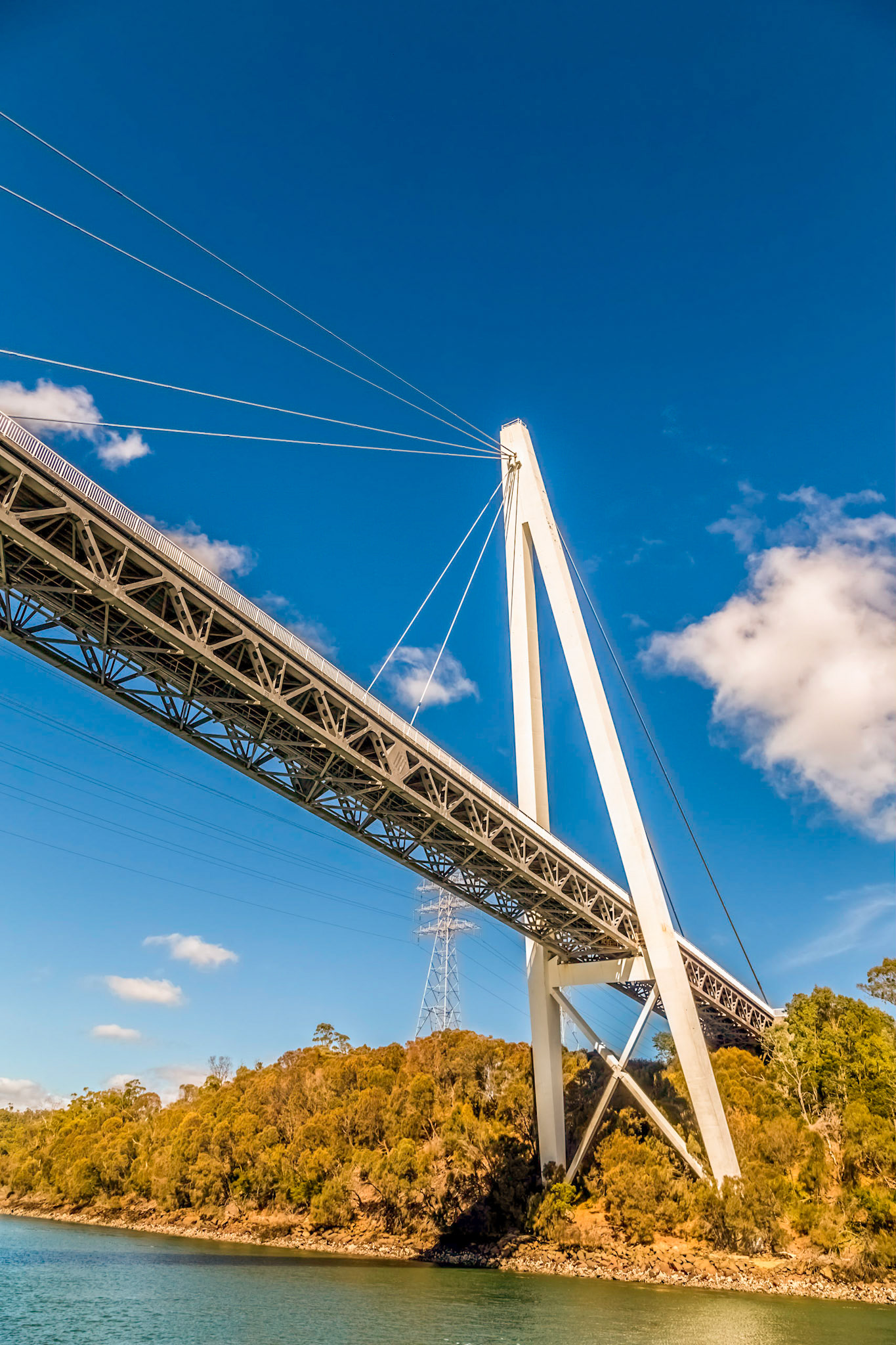 Batman Bridge across the Tamar