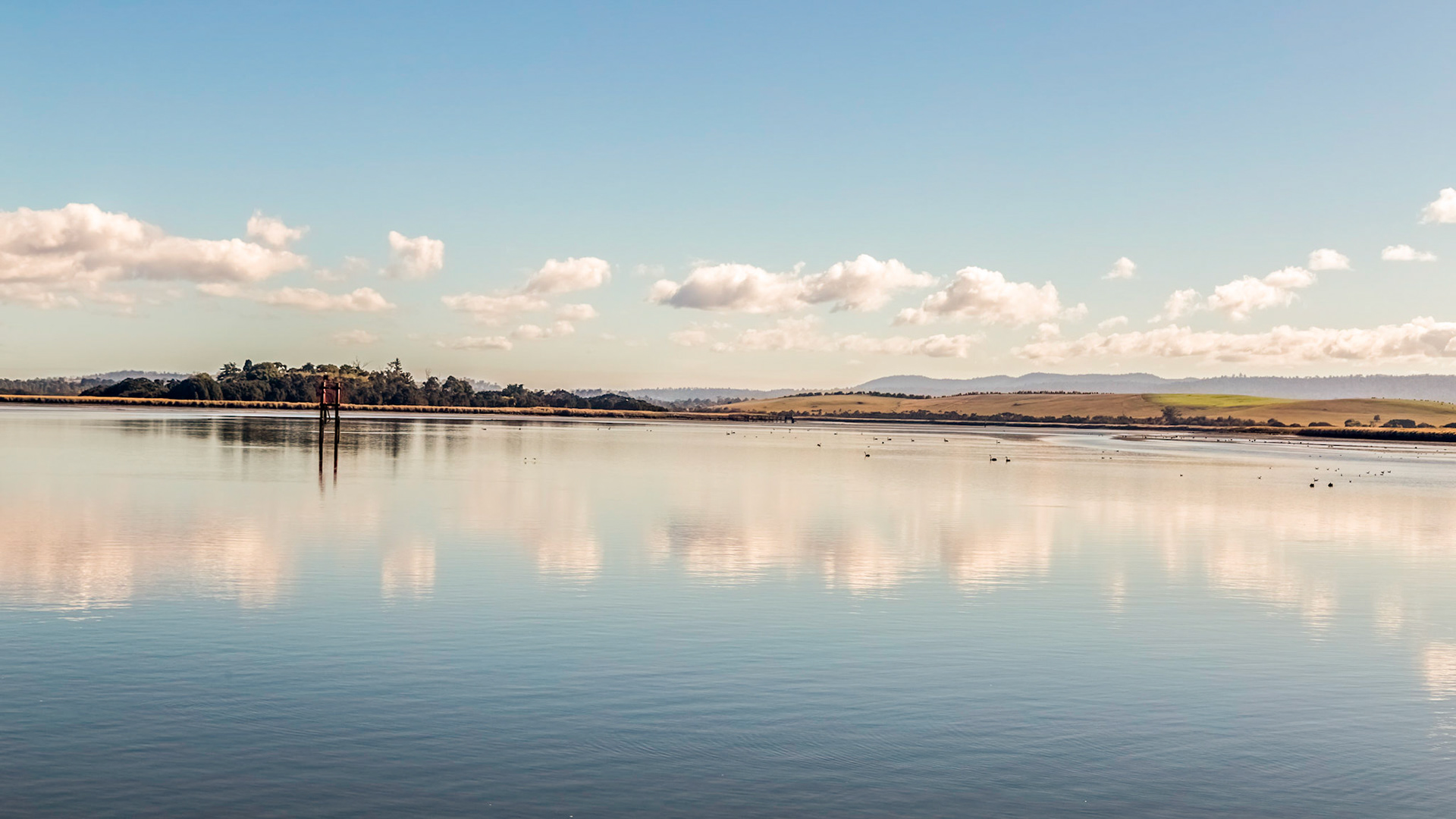 'Tamar Odyssey' river cruise