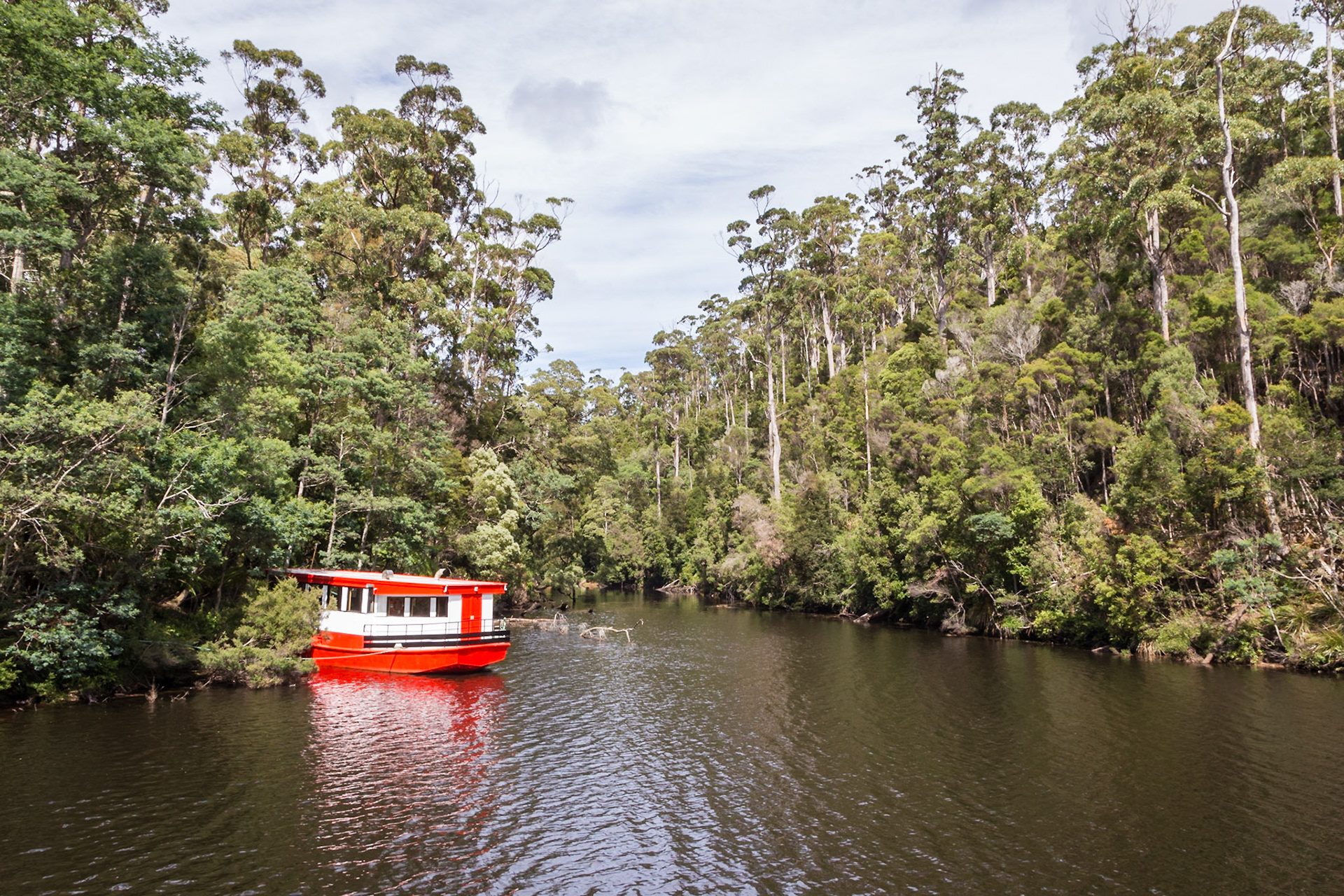 Franklin River joining the Arthur River