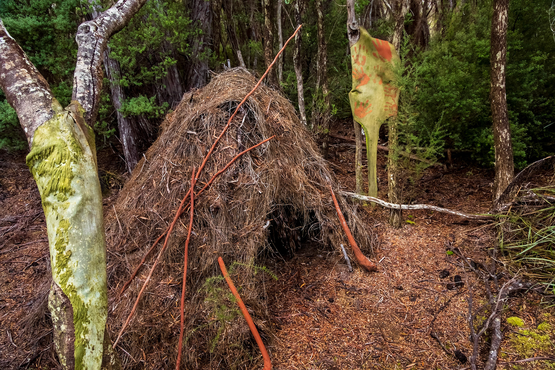 Needwannee Walk