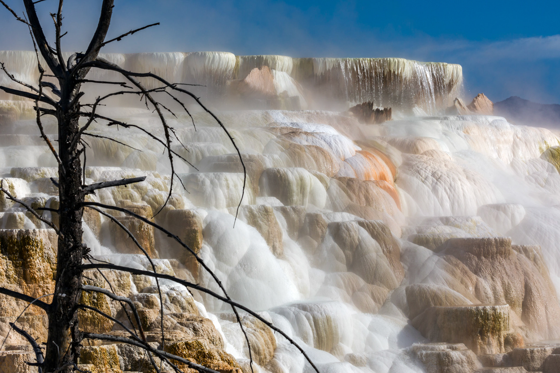 Lower Terraces, Mammoth Hot Springs