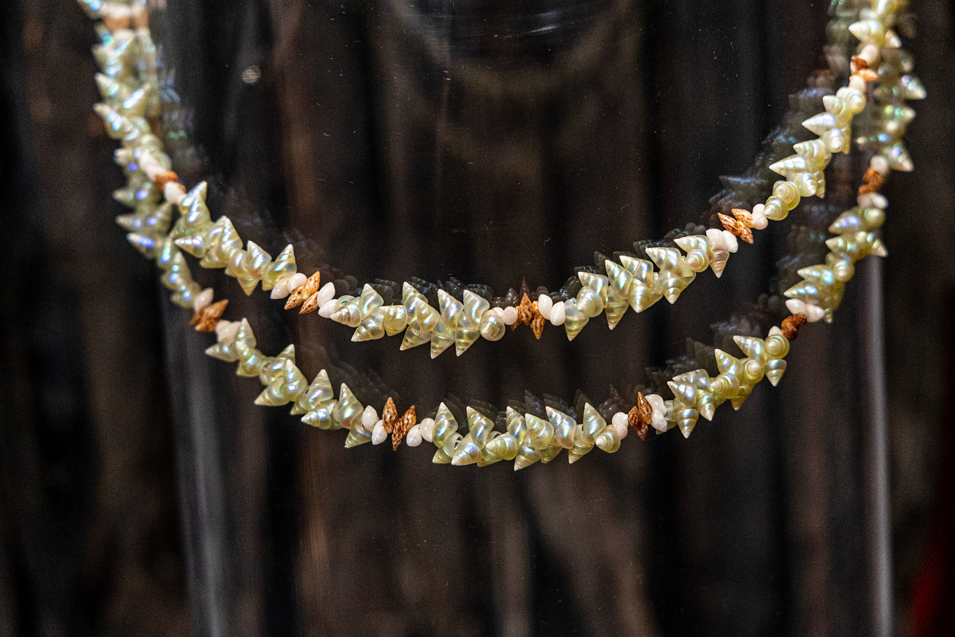Cascades Female Factory Historic Site: kanalaritja shell necklace, Jeanette James, 2021.