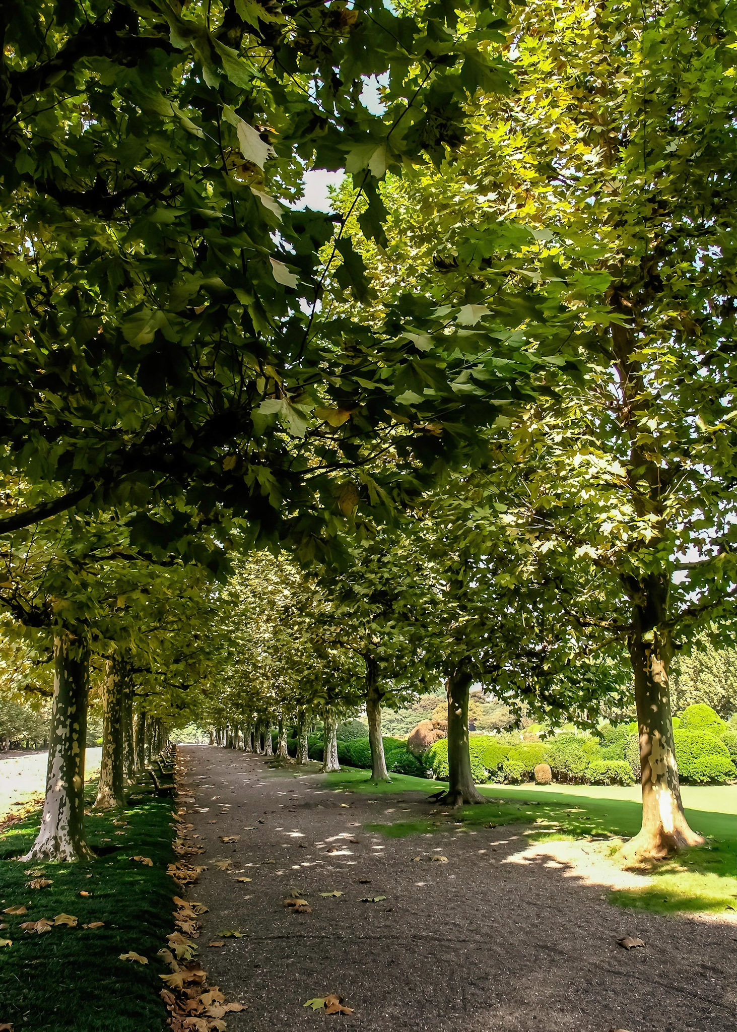 Shinjuku Gyoen National Garden
