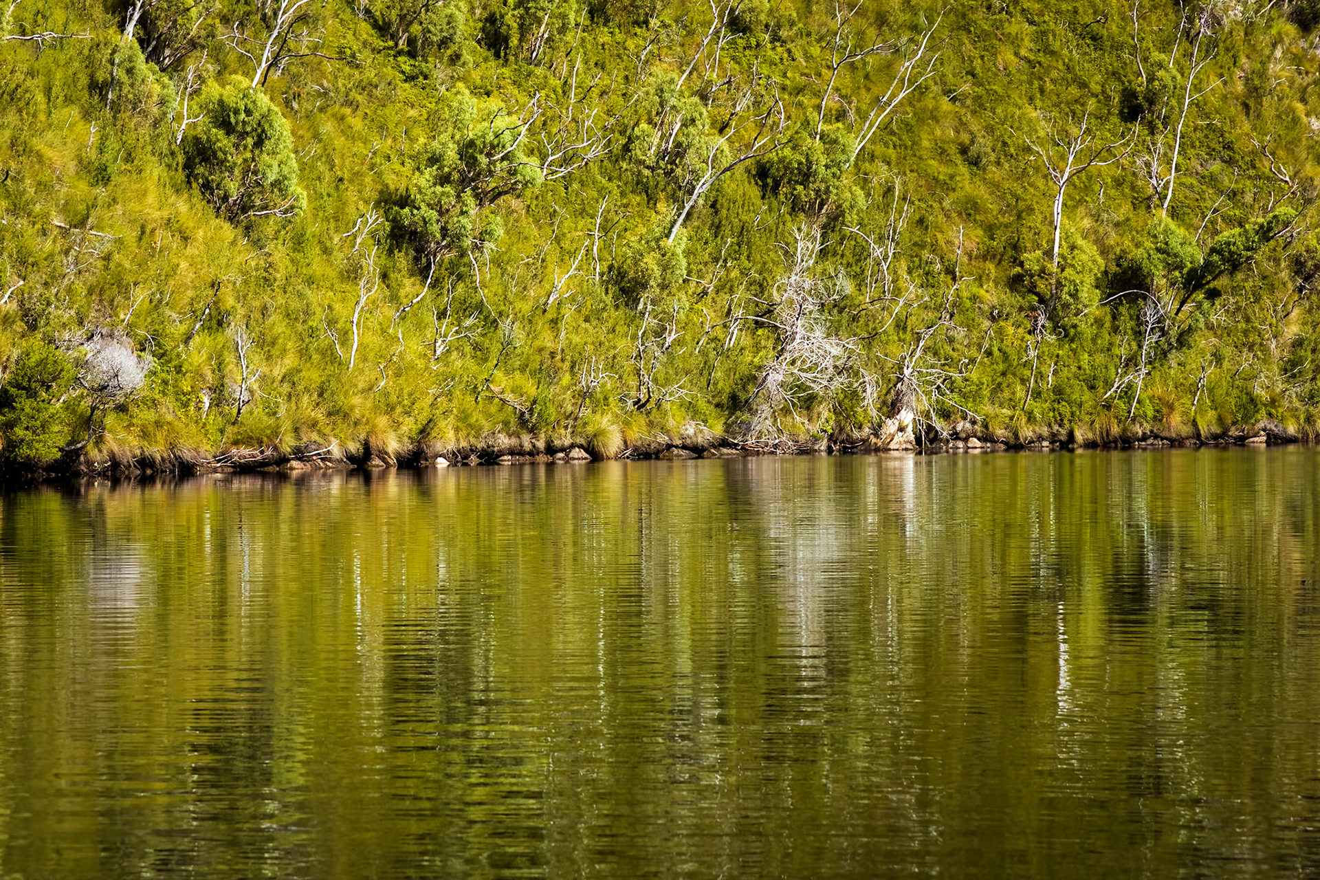 At the approach to the Davey River Gorge.