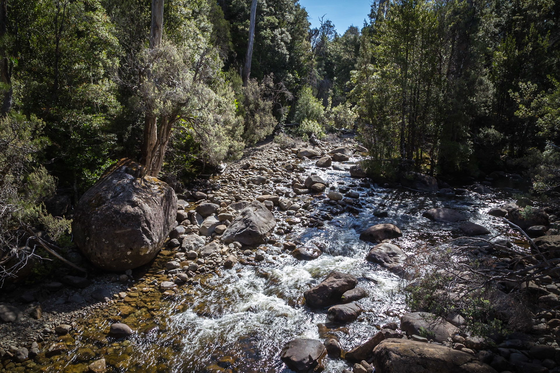 Lake St Clair - Watersmeet Nature Trail