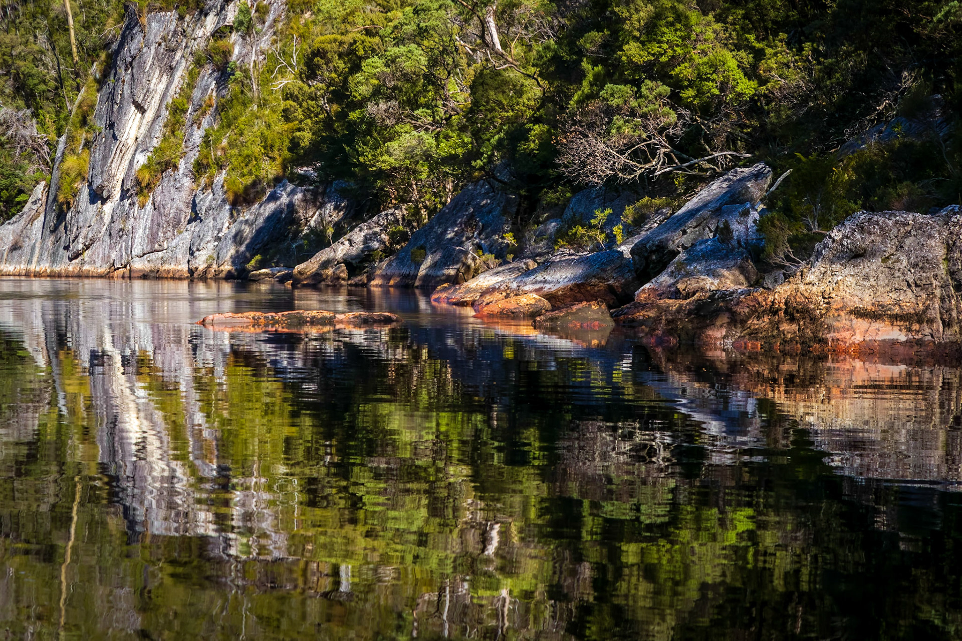In the Davey River Gorge.