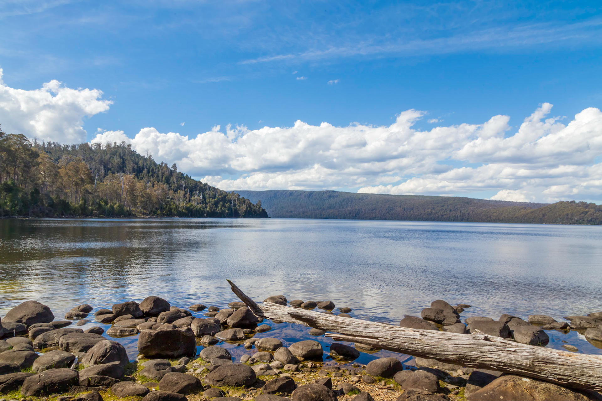 Lake St Clair - Platypus Bay