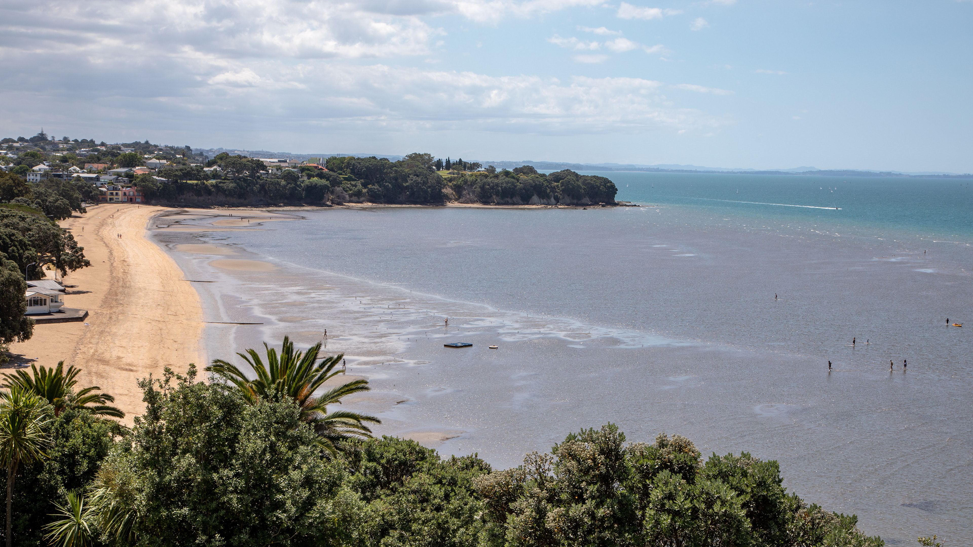 At Krarkin Point, looking down to Cheltenham Beach