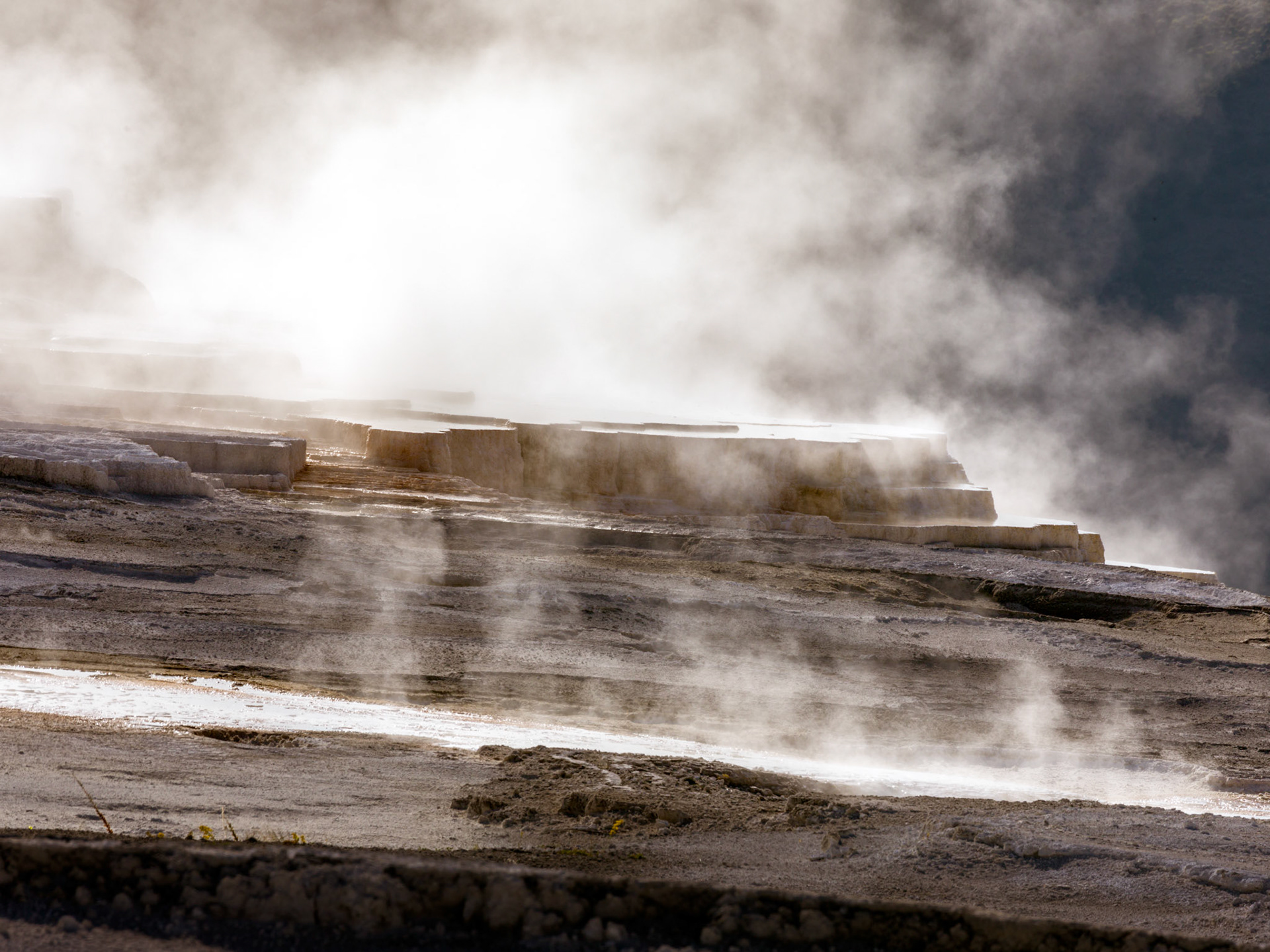 Lower Terraces, Mammoth Hot Springs
