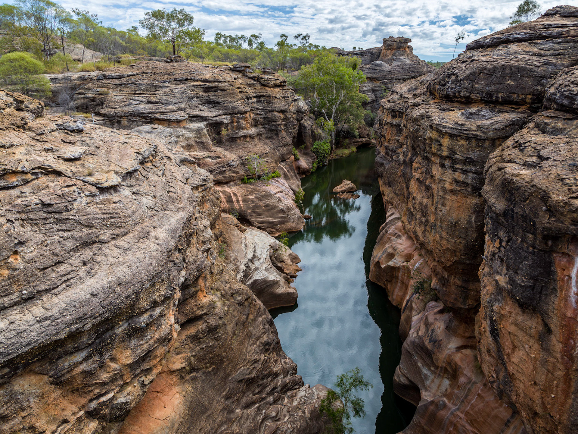 Sandstone cliffs of Cobbold Gorge