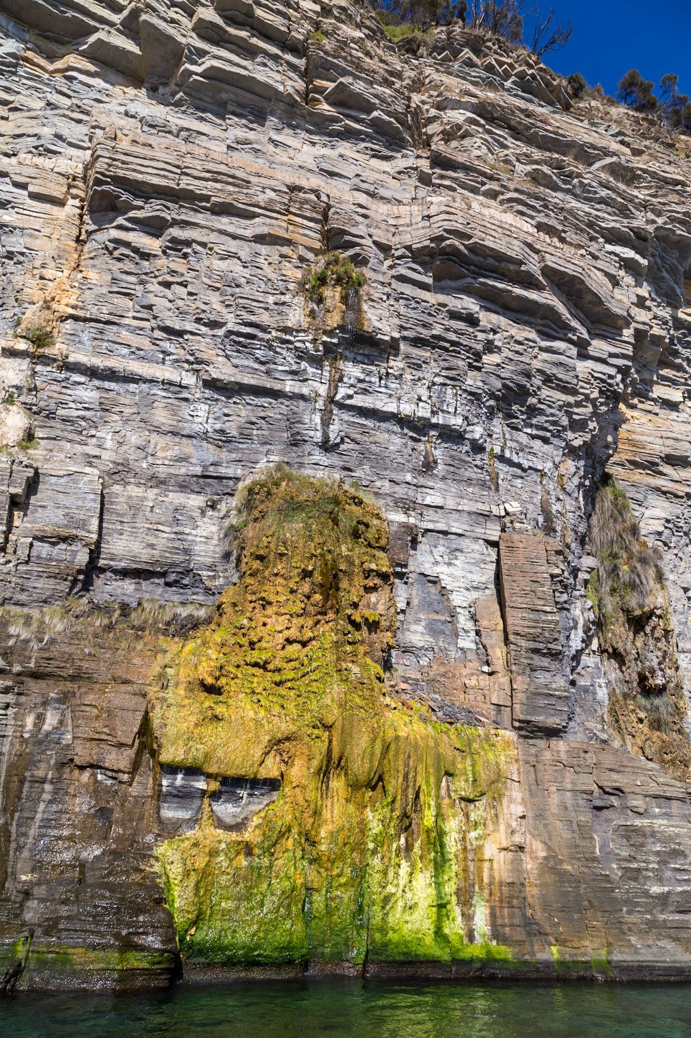 A Water Spring in the Cliff Face; Fossil Cliffs. Maria Island