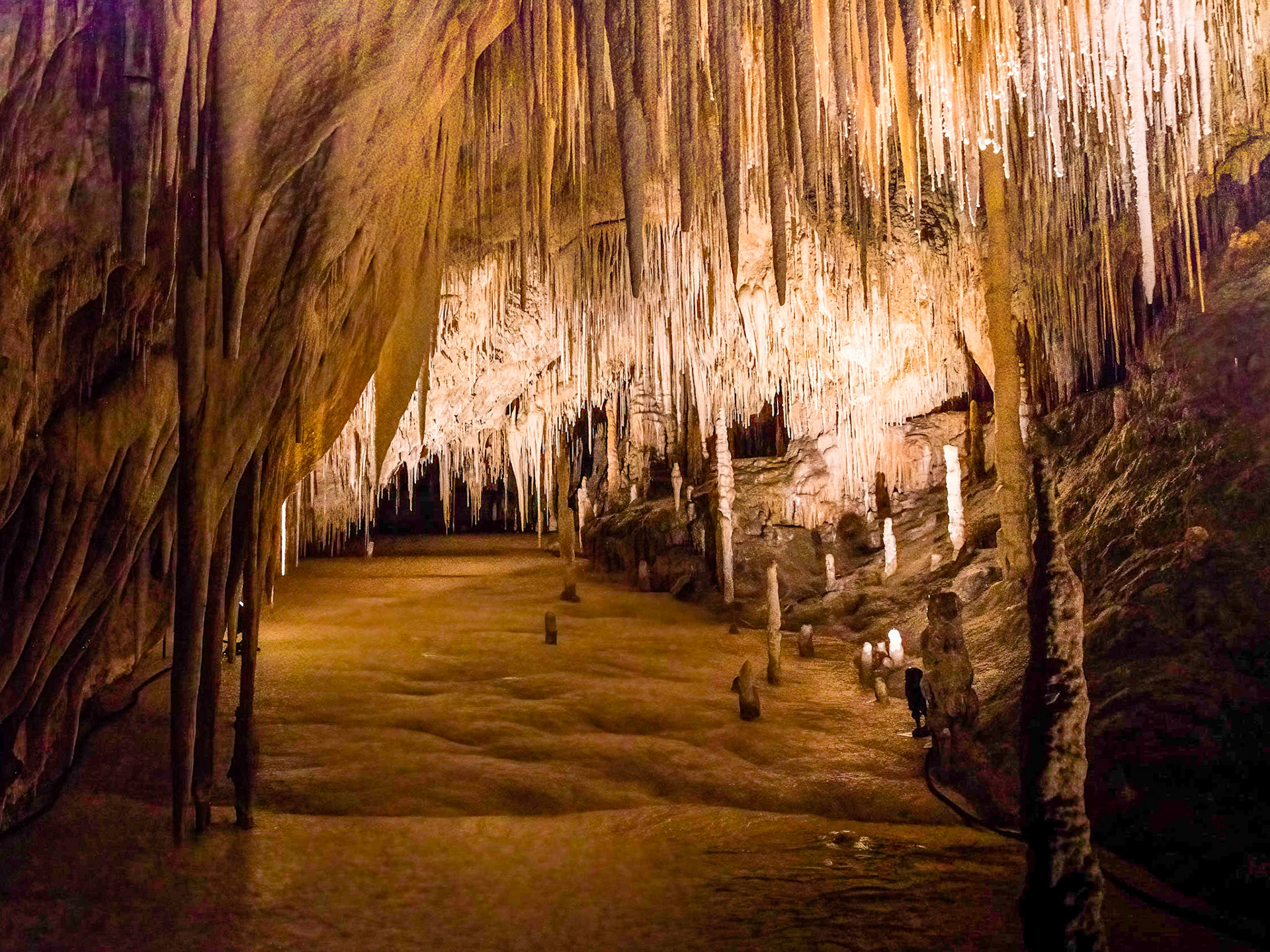 In the Newdegate Cave, one of the largest dolomite caves in the southern hemisphere.
