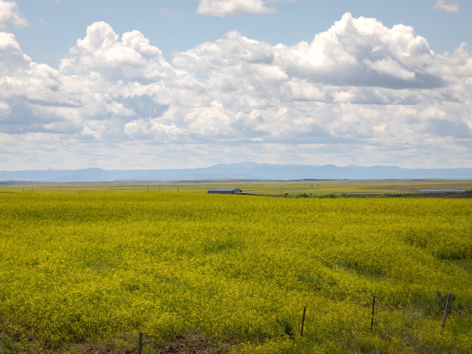 9 Jul: South Dakota landscape, near Belle Fourche.