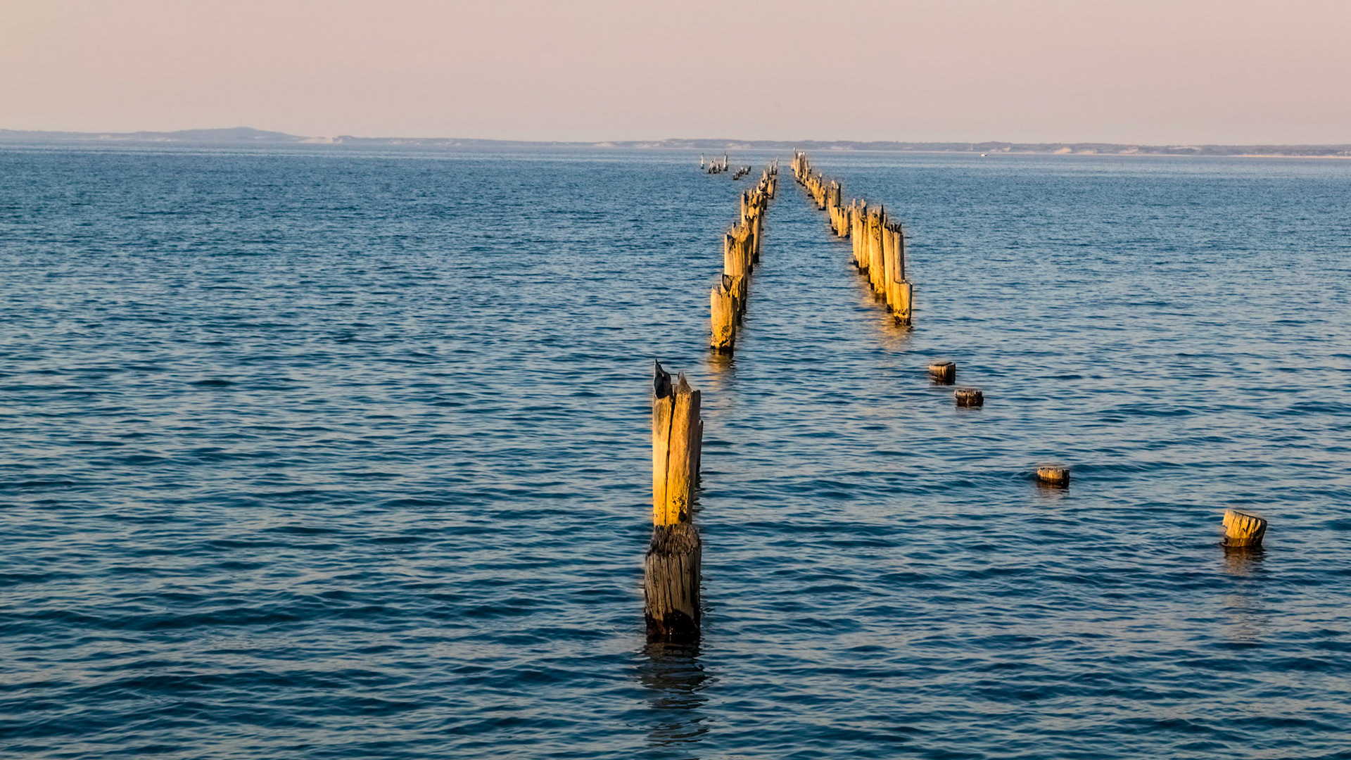Bridport, remant piles of old pier