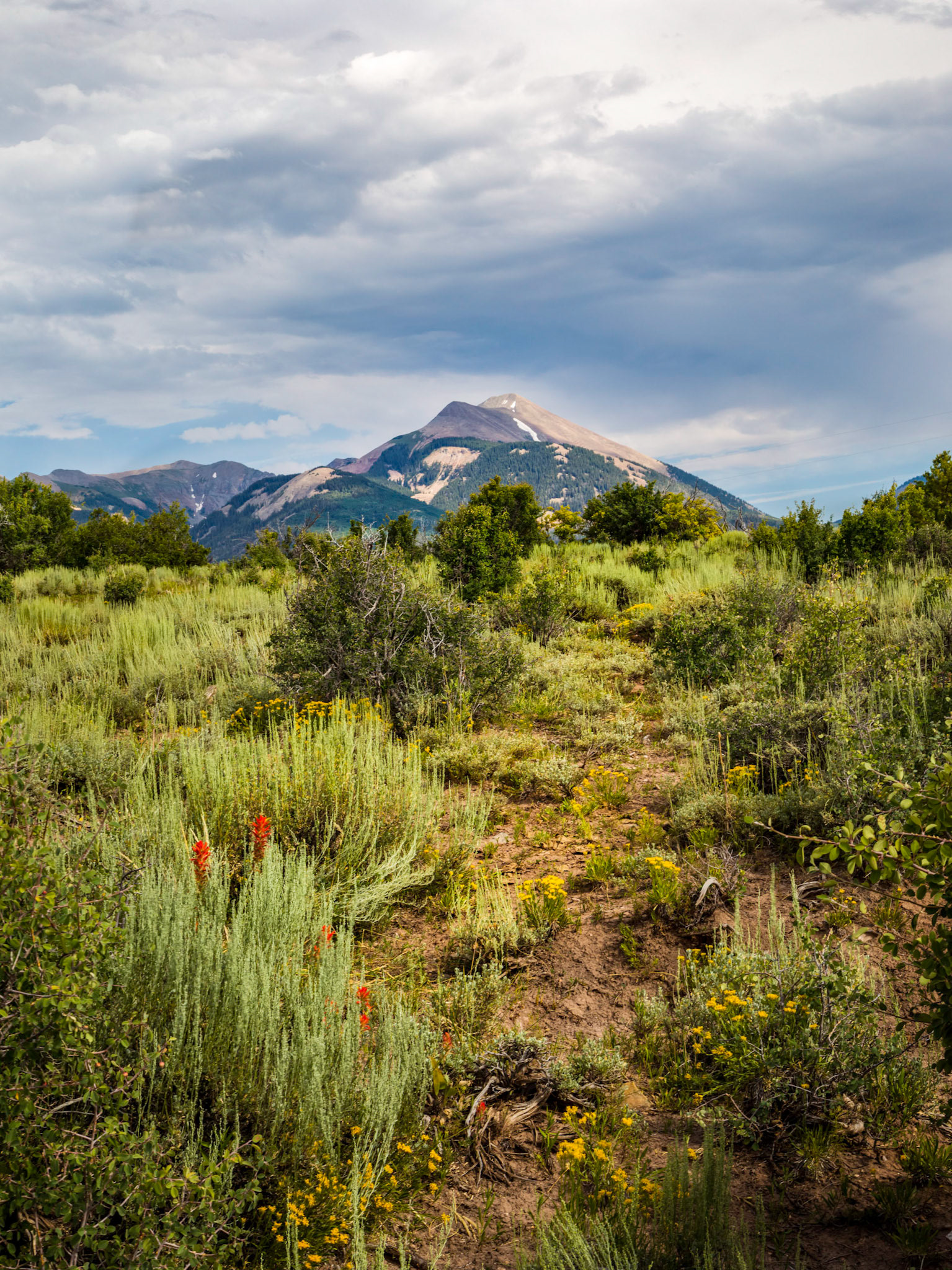 On a farm road high up  in the mountains out from Moab.