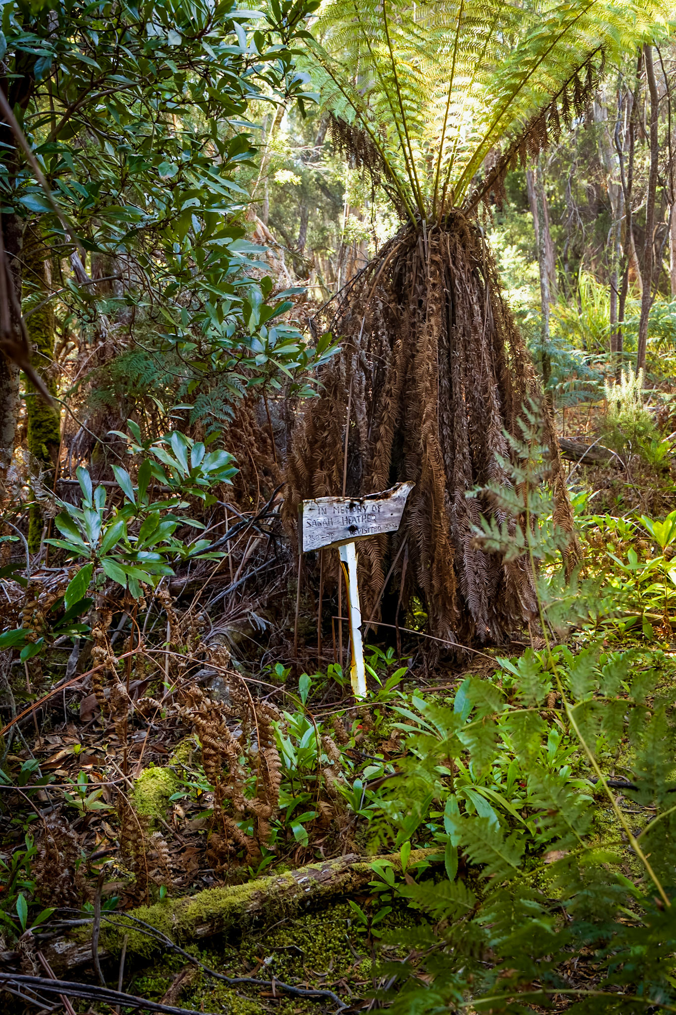 Lonely Grave; Settlement Point, Davey River.
