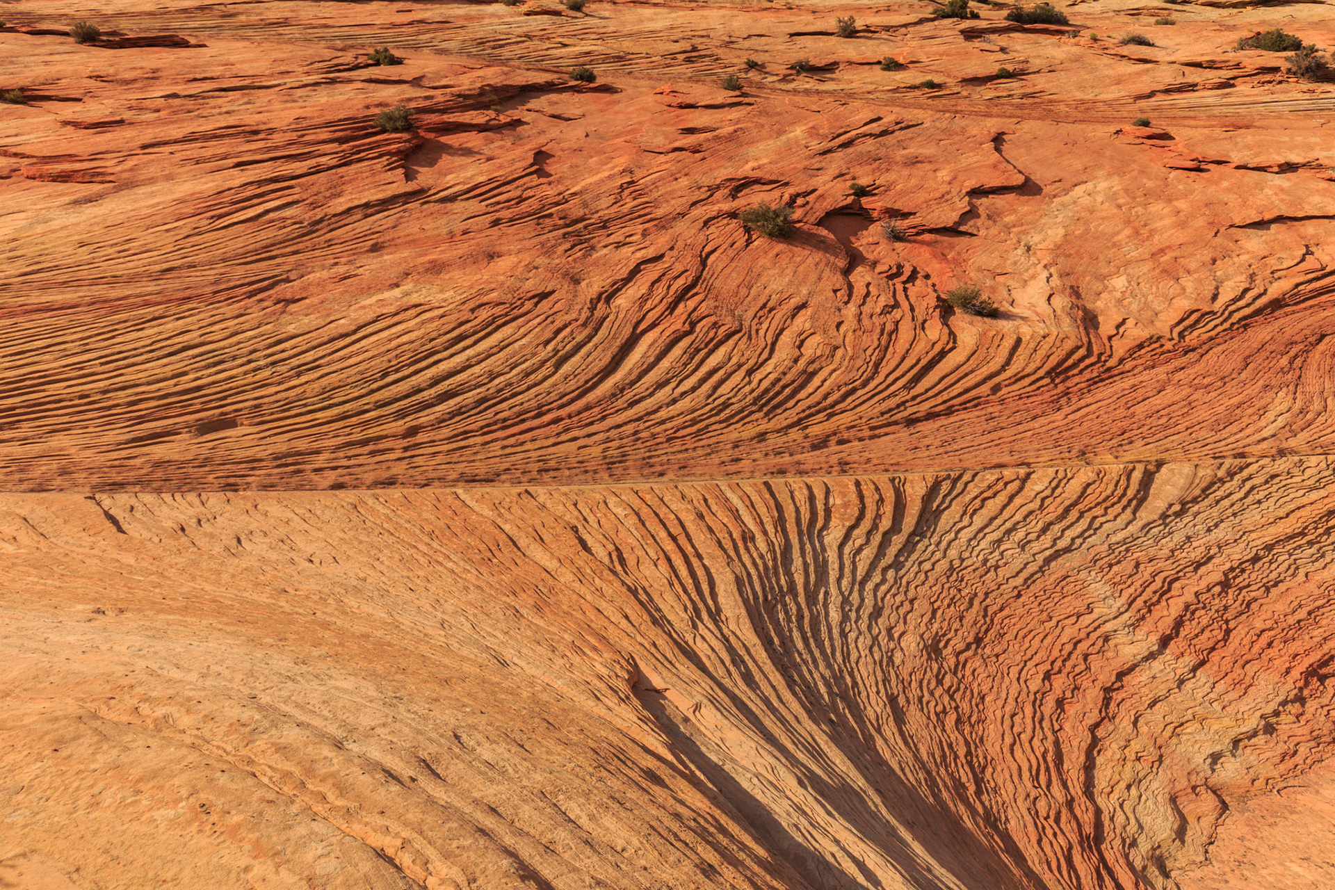 Geological interest on the slopes above Pine Creek