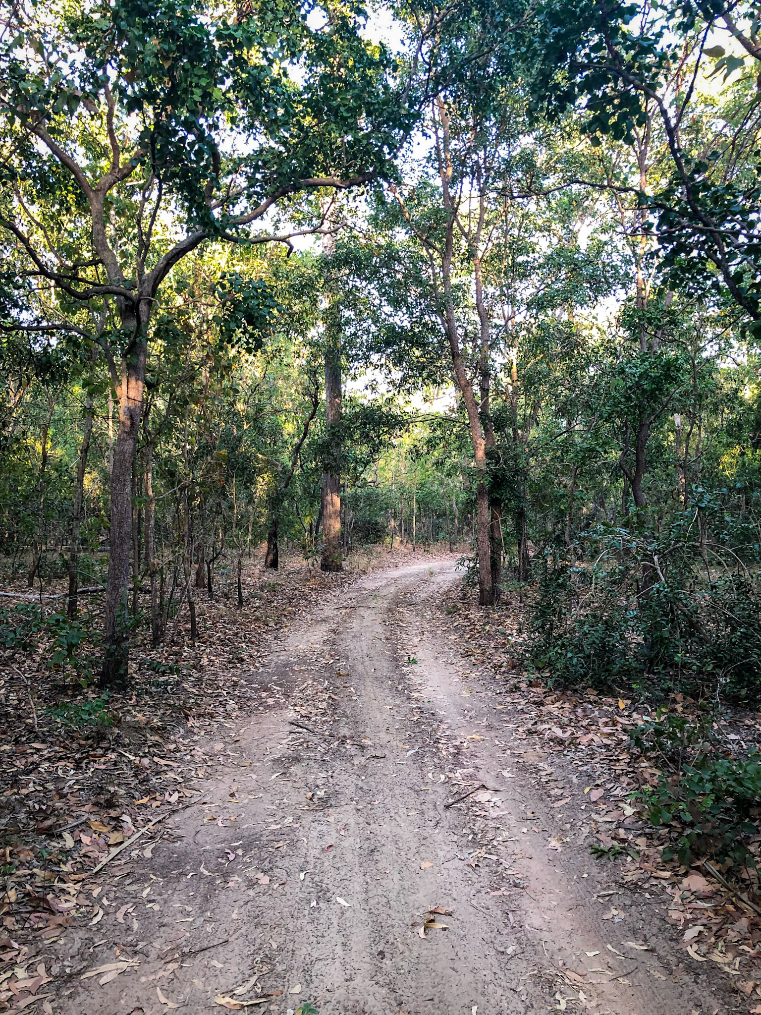 Track in to Cobourg Coastal Camp