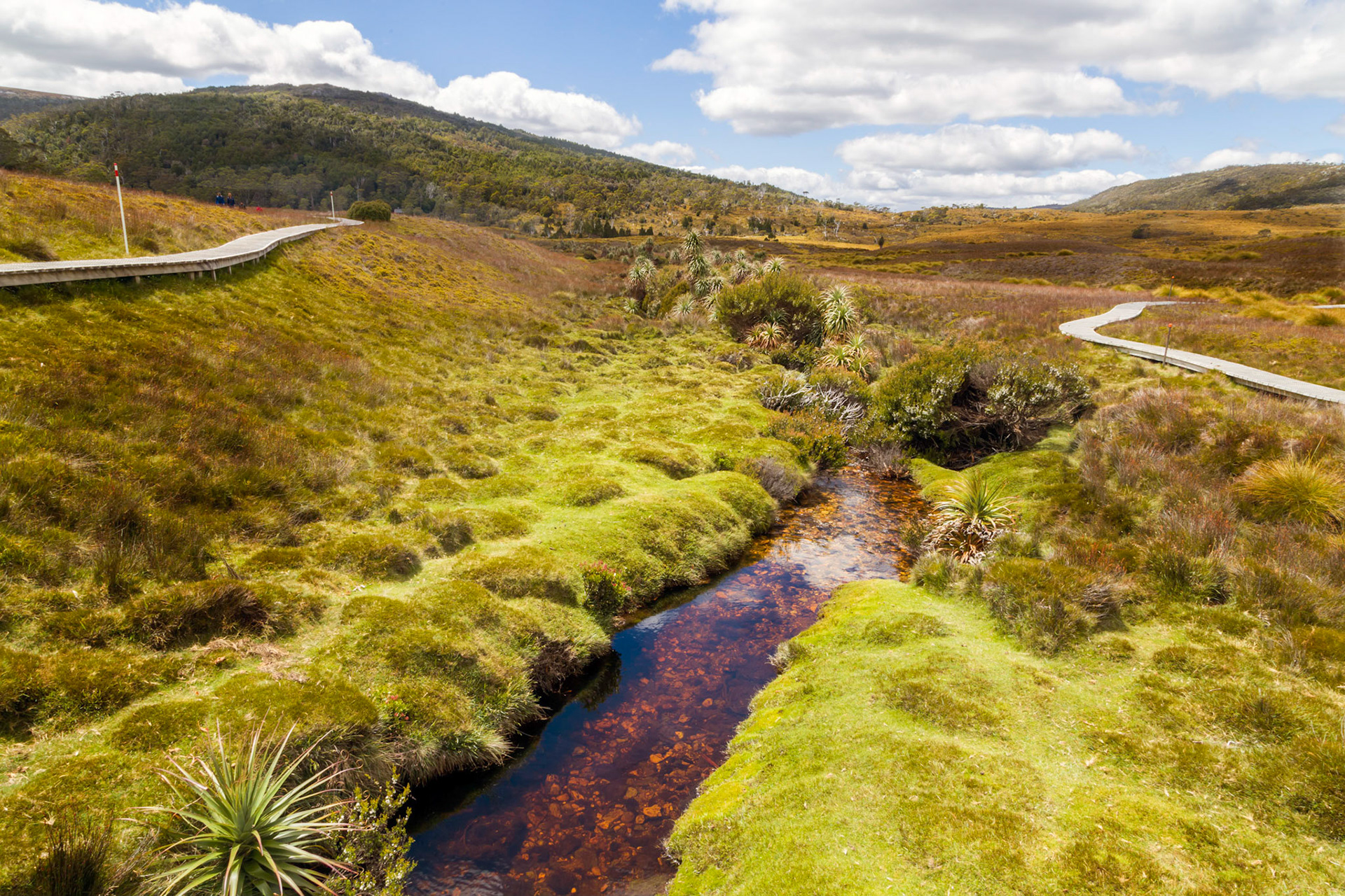 Ronny Creek Track, Cradle Mountain - Lake St Clair National Park