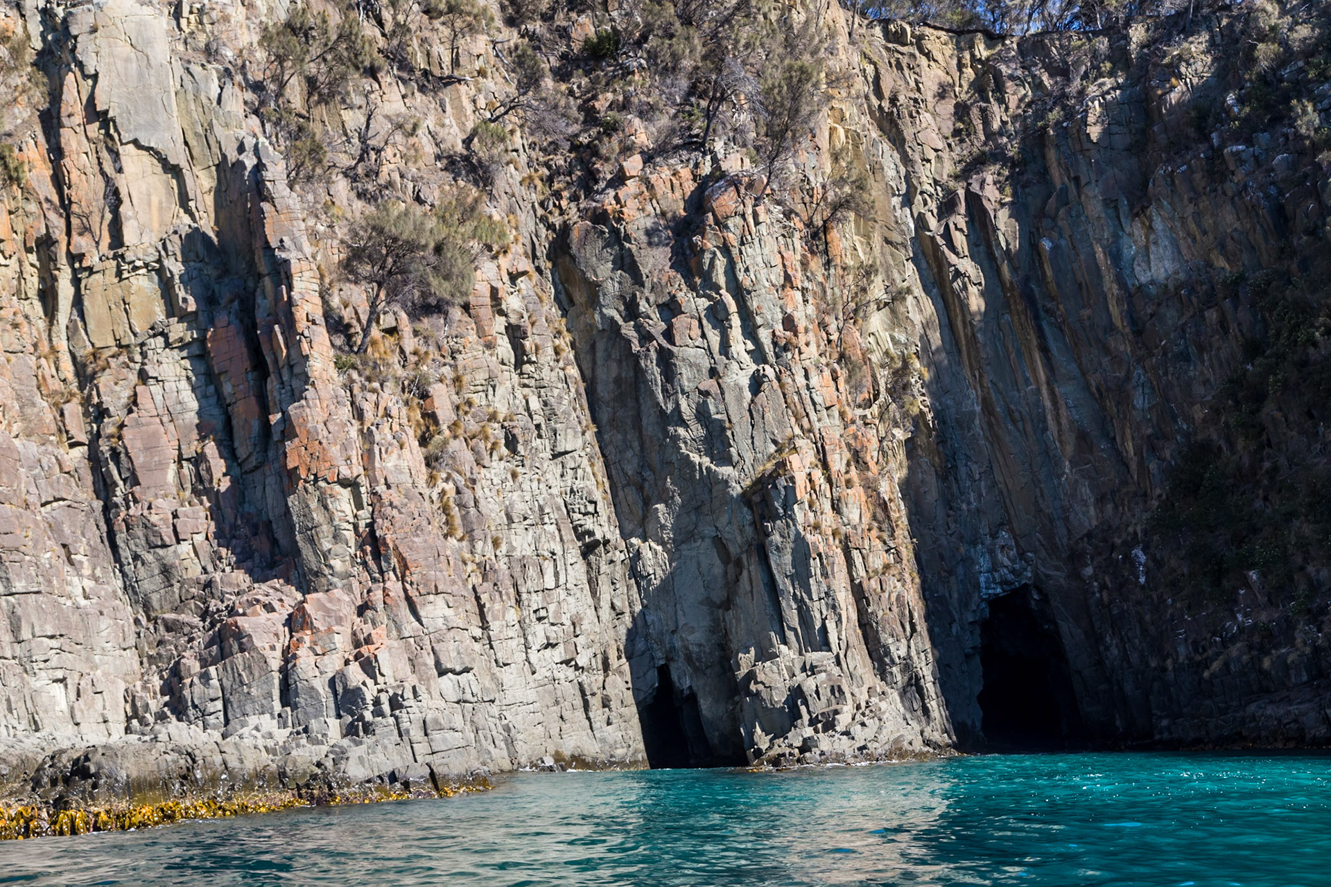 Cliff on the coast of the South Bruny National Park.