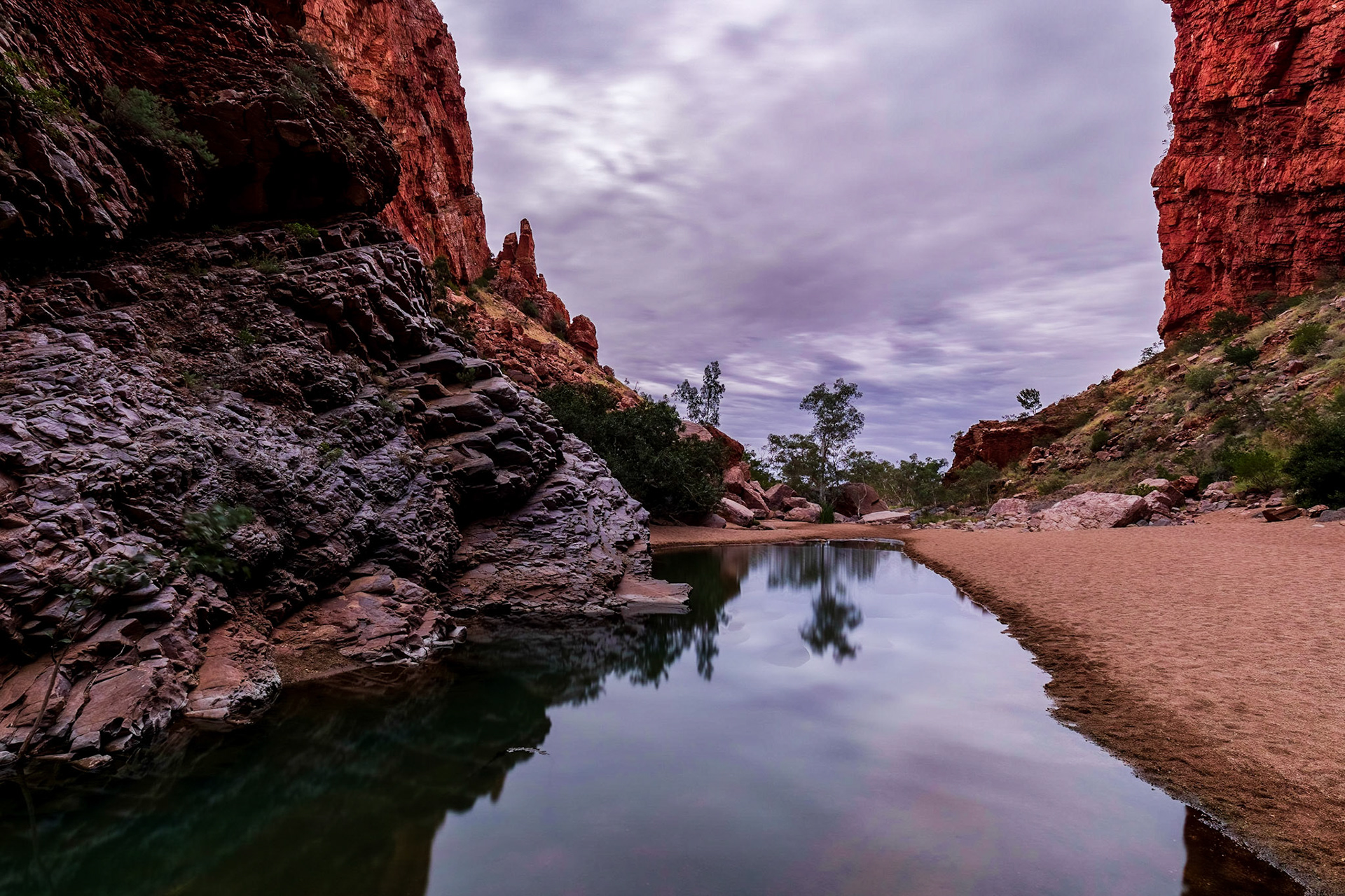 Anticipating the dawn at Simpsons Gap