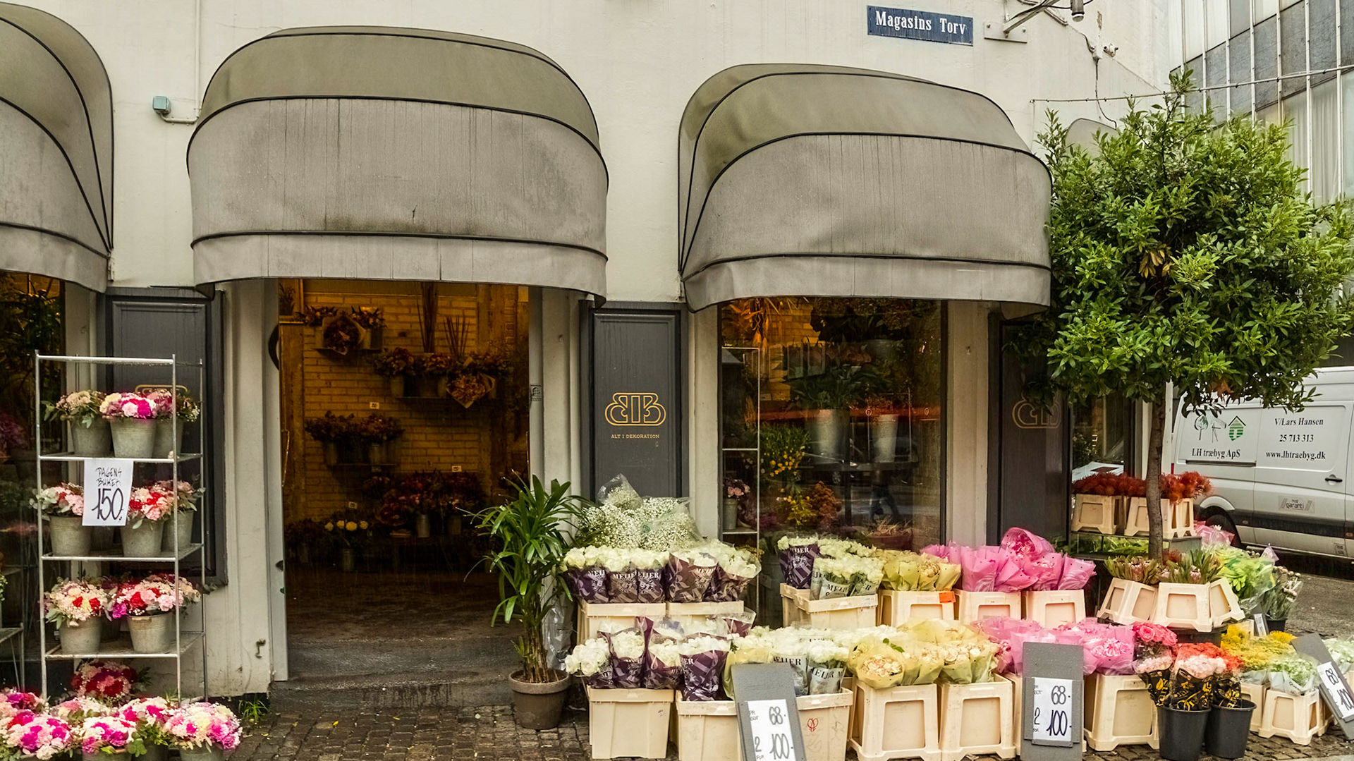 Colourful flowers on an otherwise dull rainy day