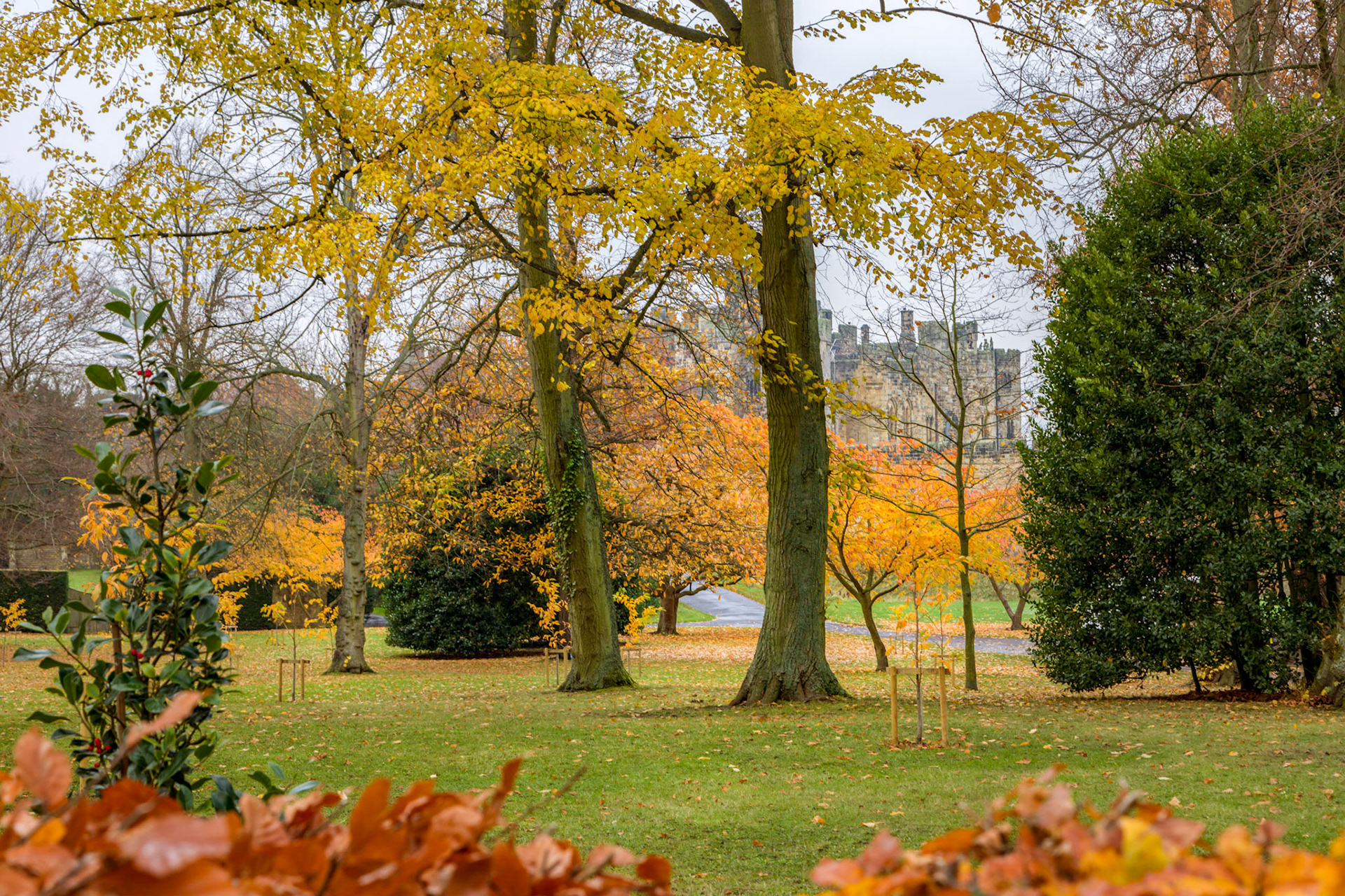 A view of Alnwick Castle through the trees