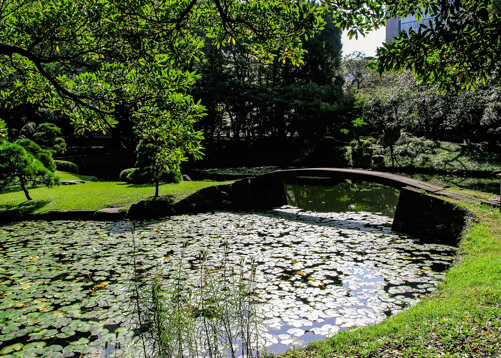 Koishikawa Korakuen Gardens