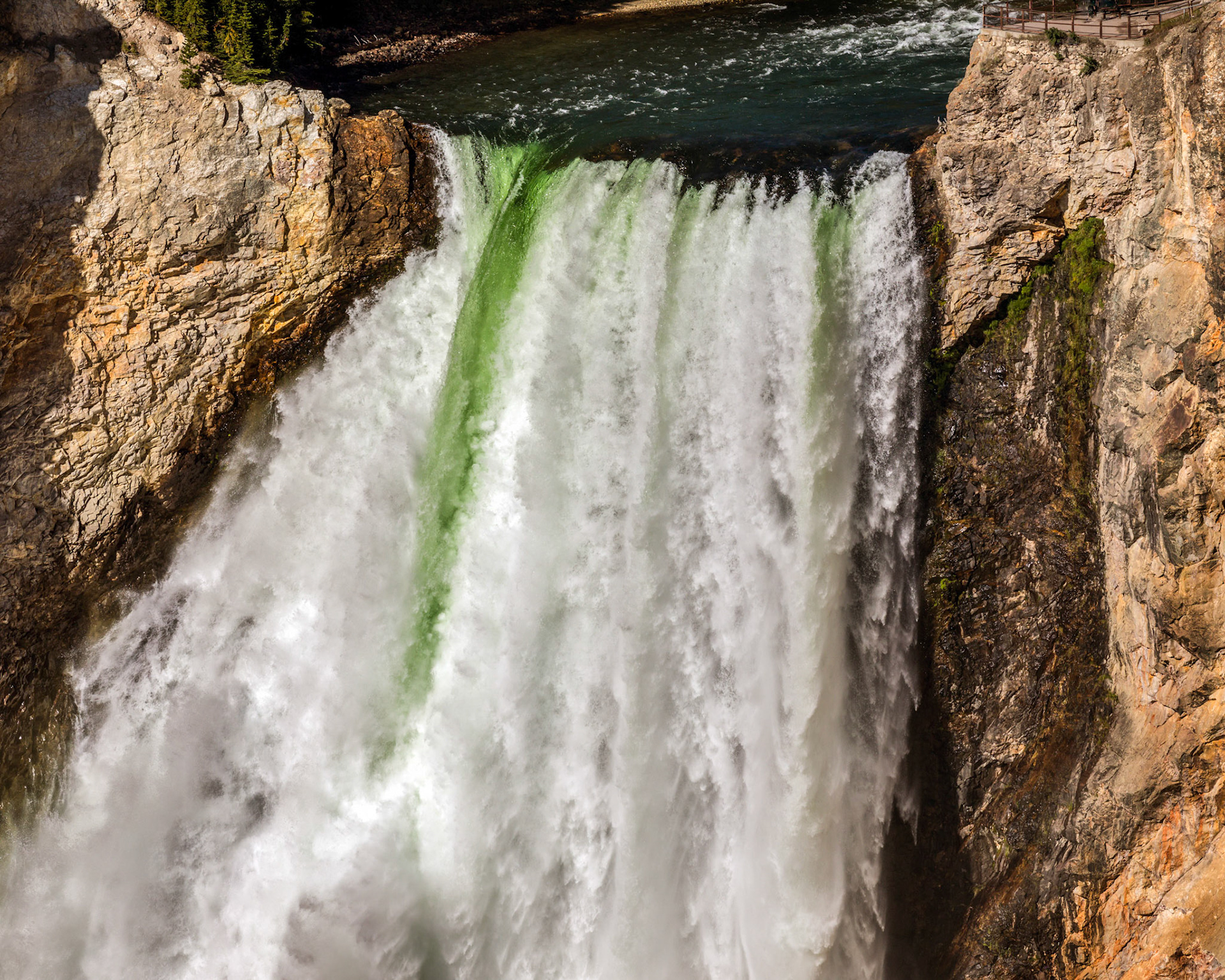 Lower Falls of the Yellowstone, Lookout Point