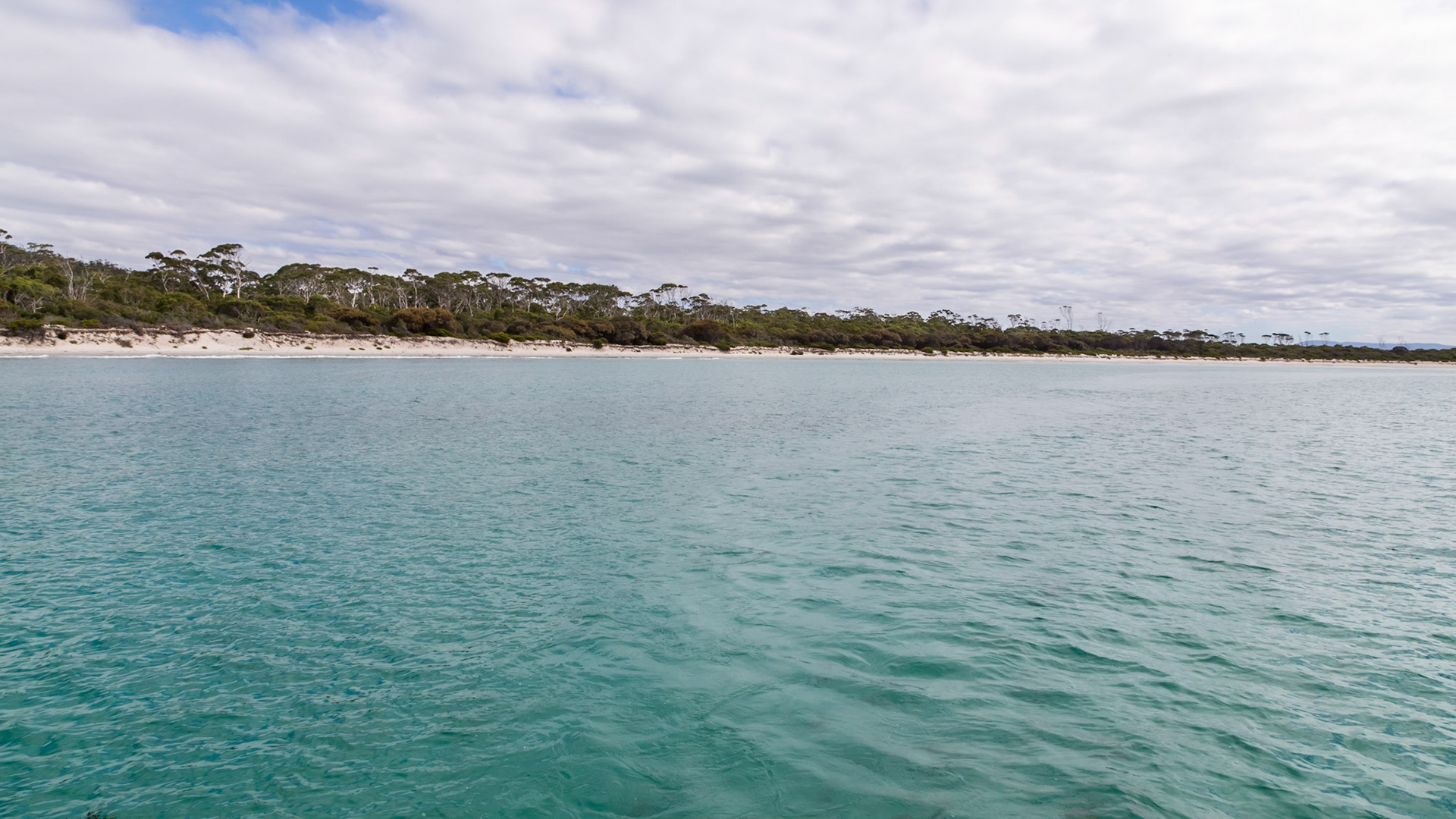 Riedle Bay, Maria island. On the eastern side of the McRaes Isthmus that links the northern and southern parts of Maria Island.