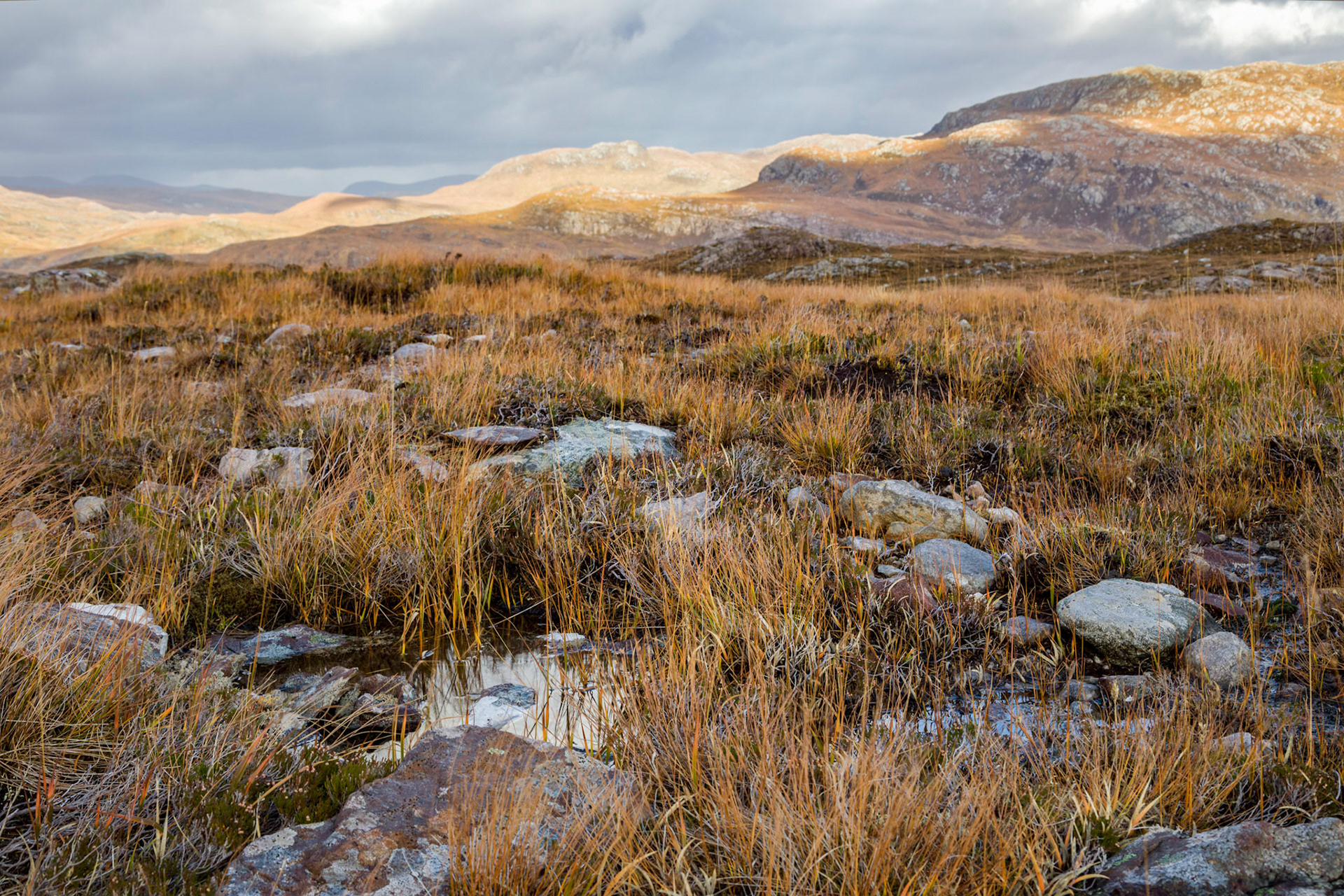 On the drive south on A894 after leaving Kylesku