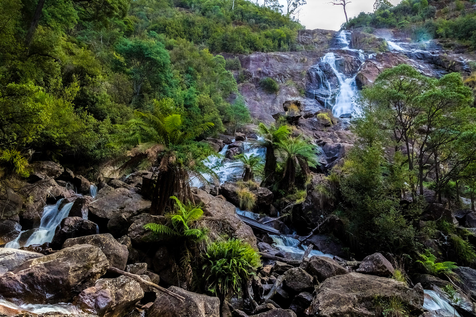St Columba Falls. St Columba Falls State Reserve