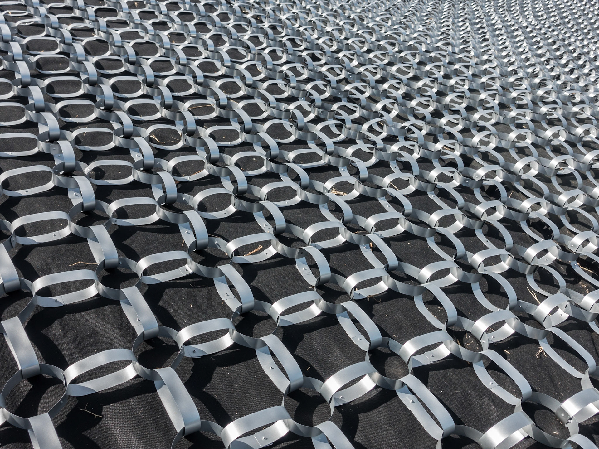 On Waiheke Island; 'Sculpture on the Gulf'