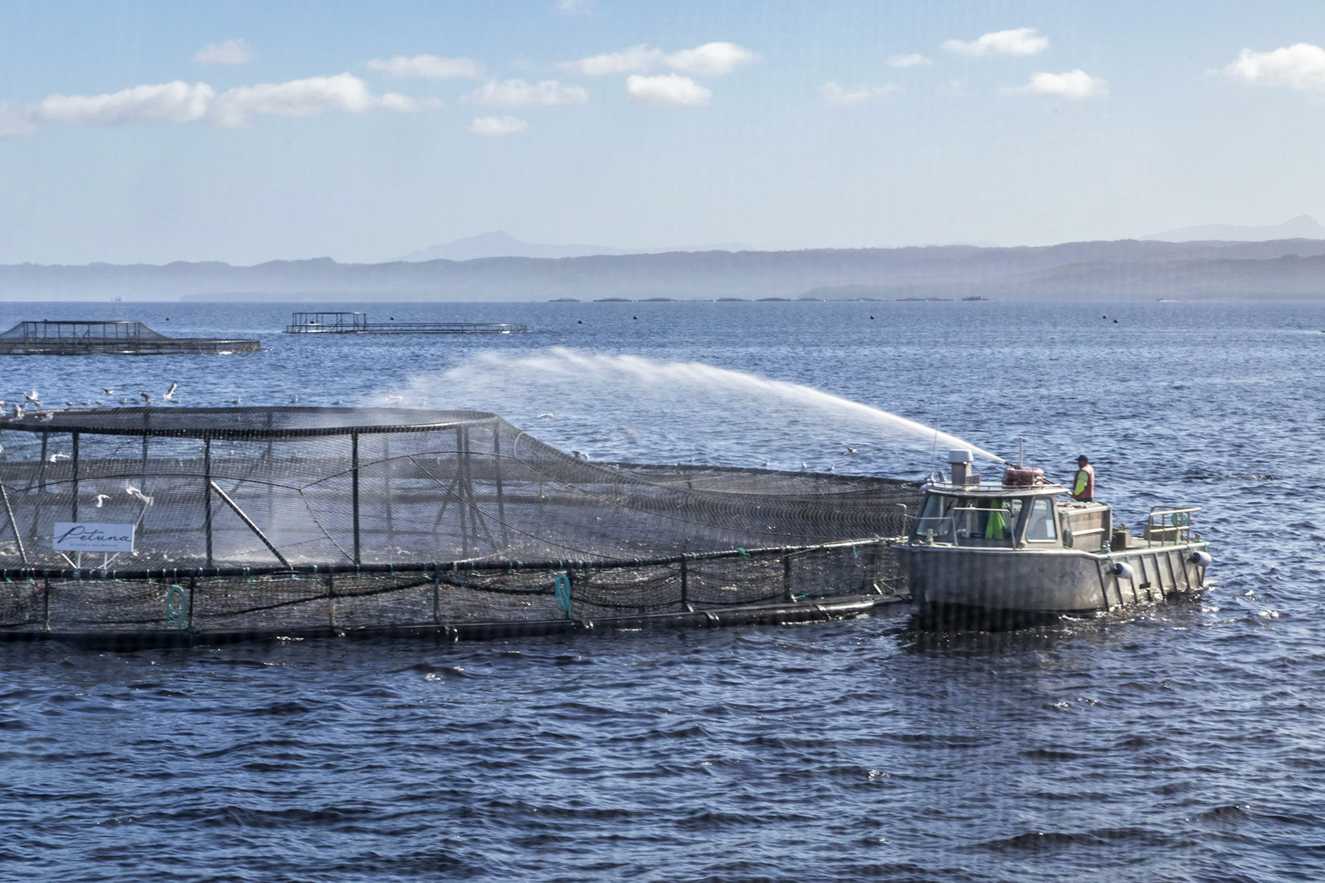 Aquaculture pens. Commercial Fish-Farming Operations in Macquarie Harbour  - Atlantic Salmon and Ocean Trout.