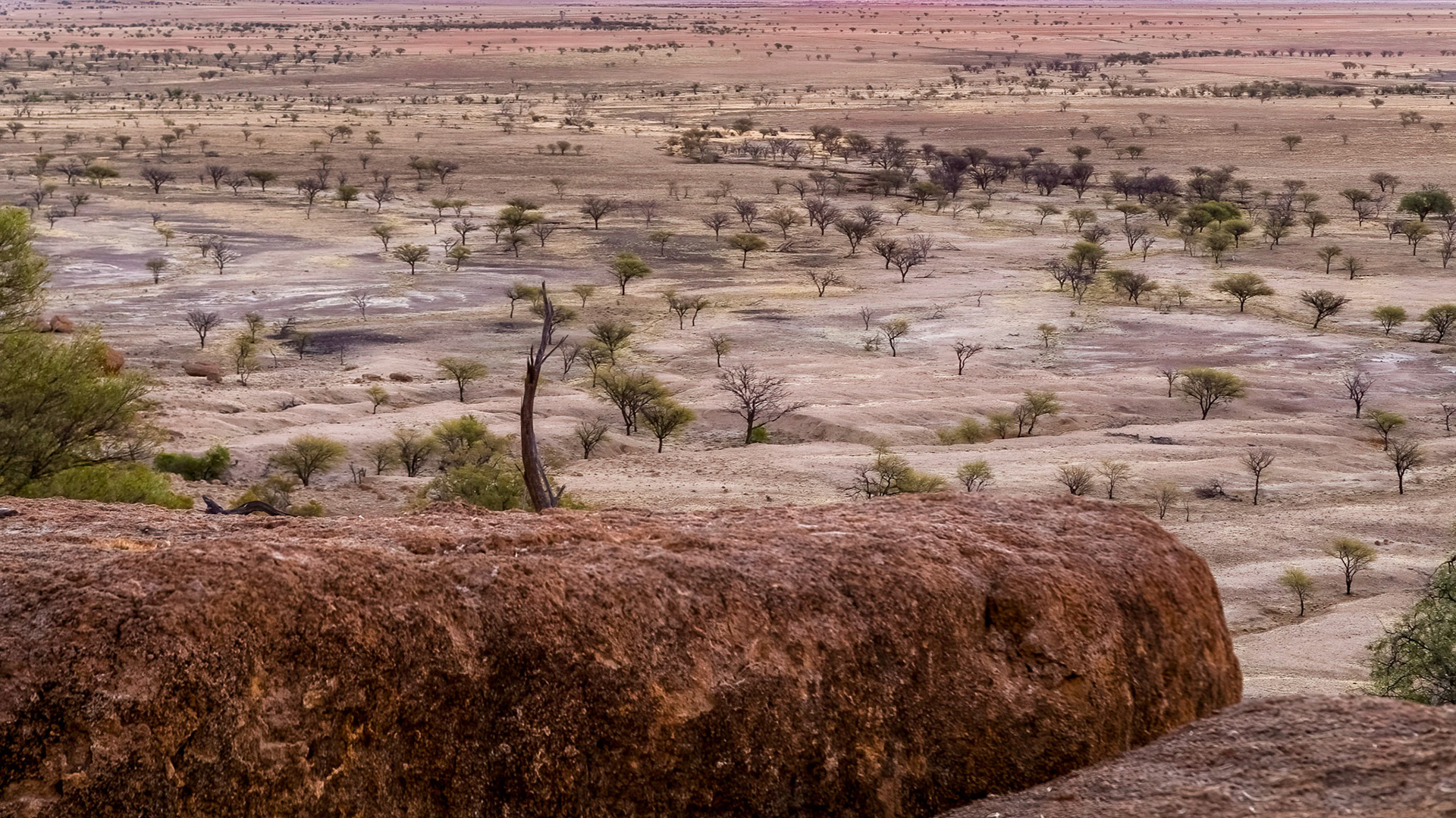 Rifts, at Rangelands Station, Winton