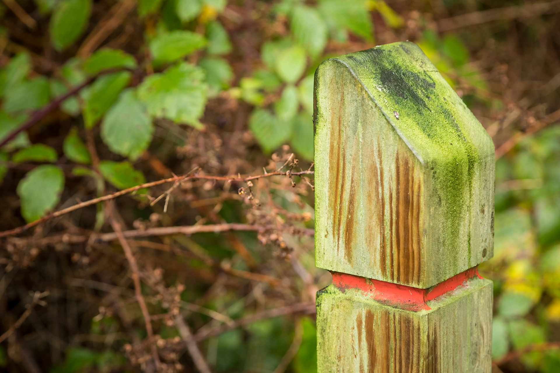 Trail Marker Post at the Lael Forest Garden