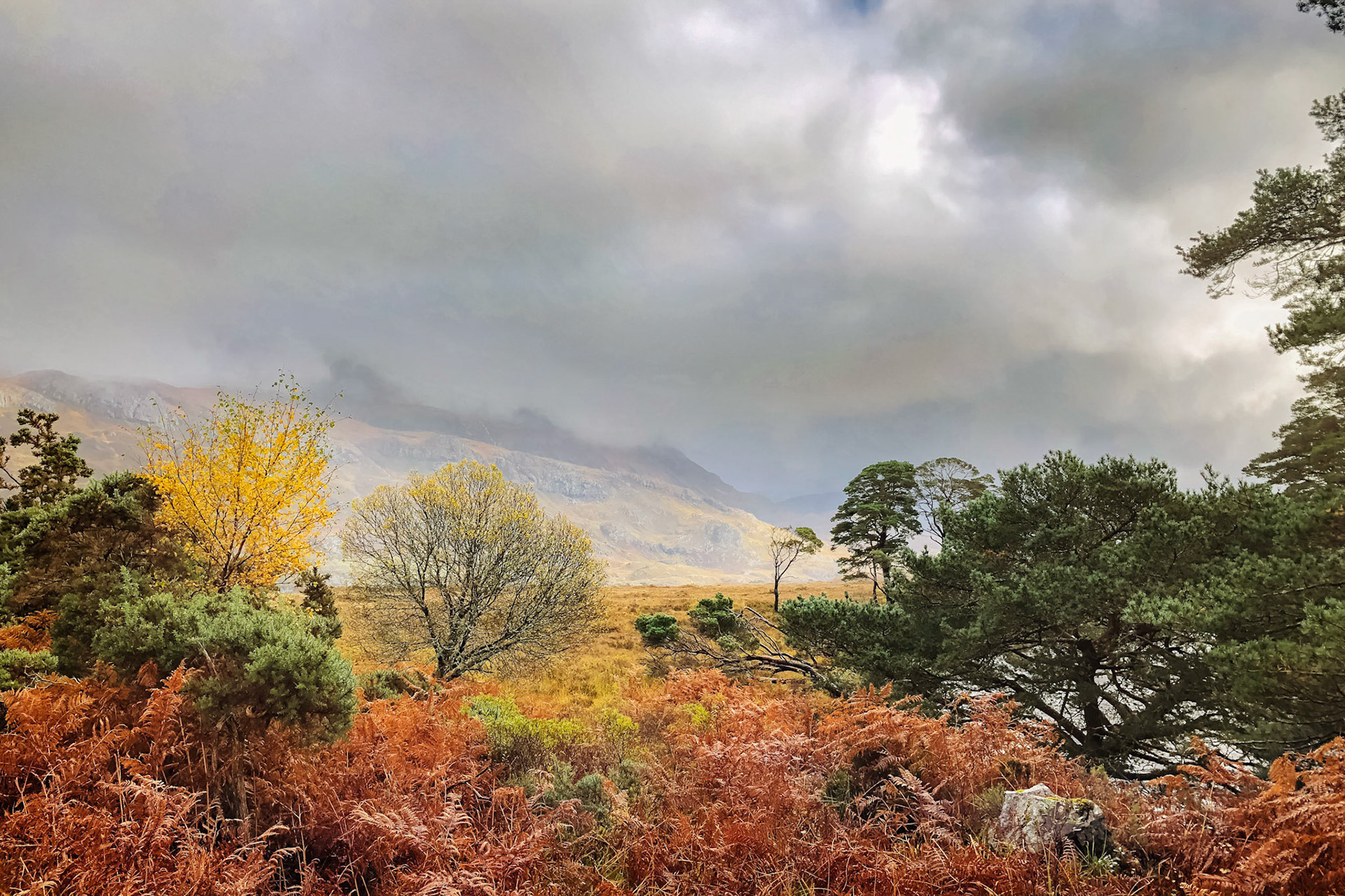 Where the A832 crosses the River Gruide