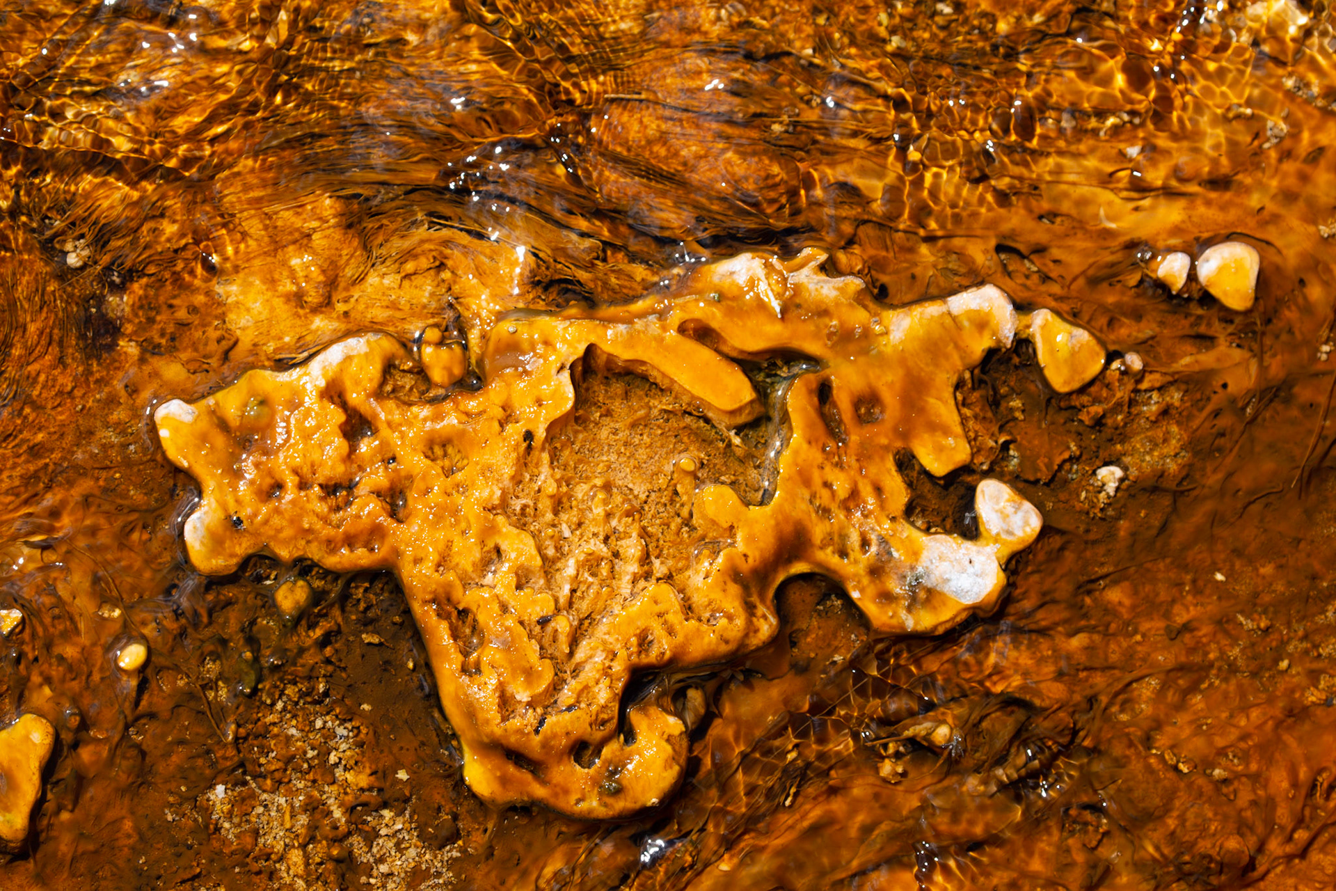 West Thumb Geyser Basin, Yellowstone National Park, Wyoming.