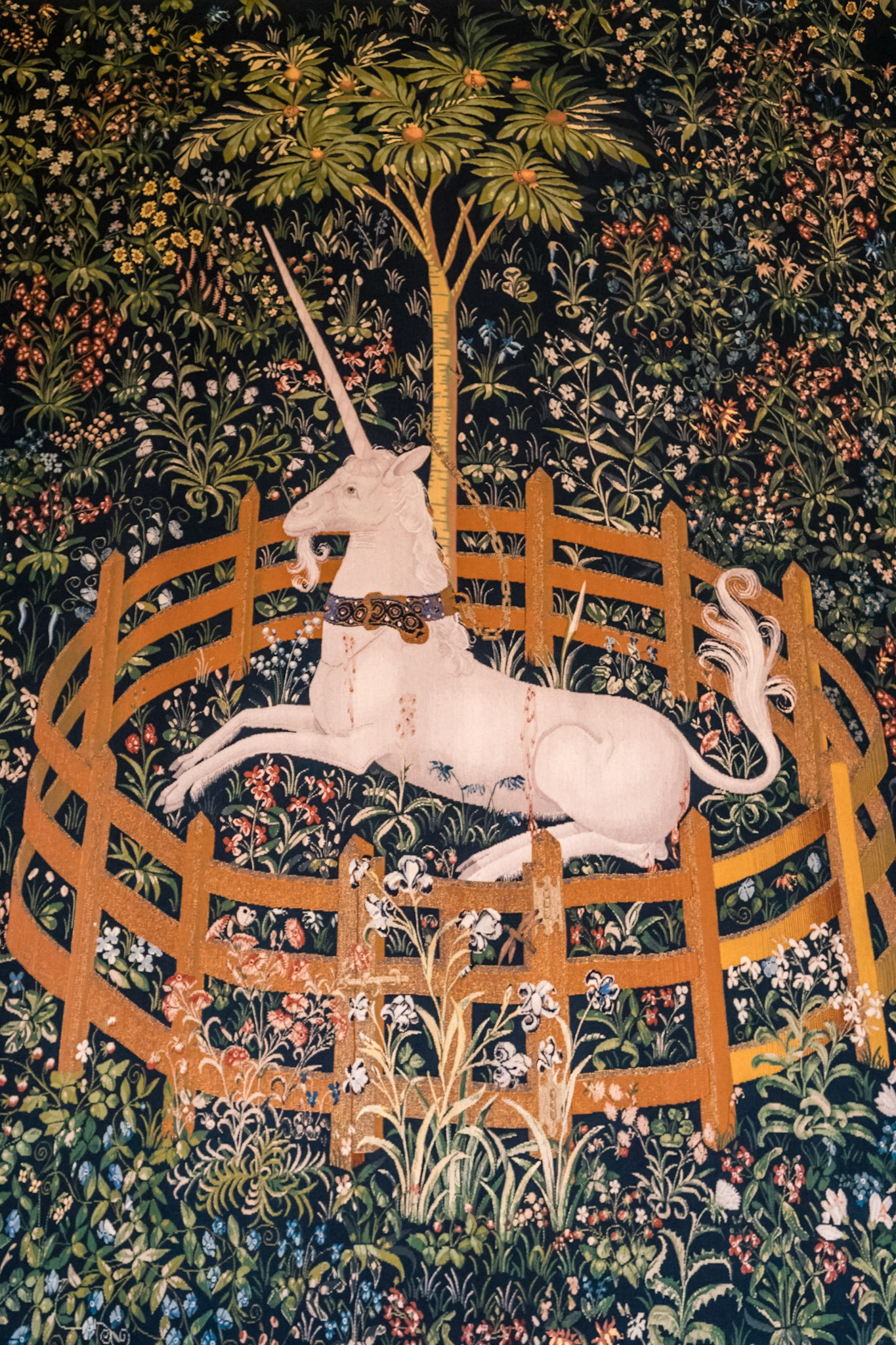 Inside the Royal Palace at Stirling Castle