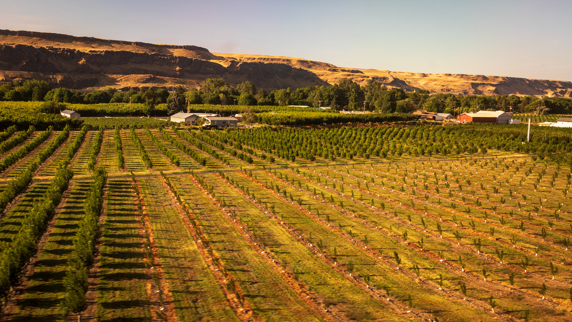 Underwood, Washington